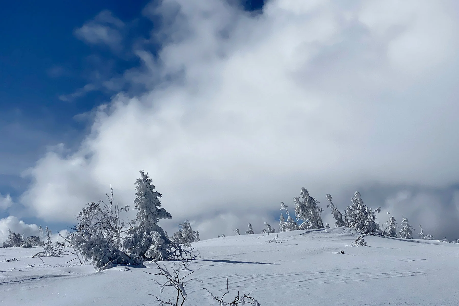 blogg-210413salentisdagbacken24.jpg