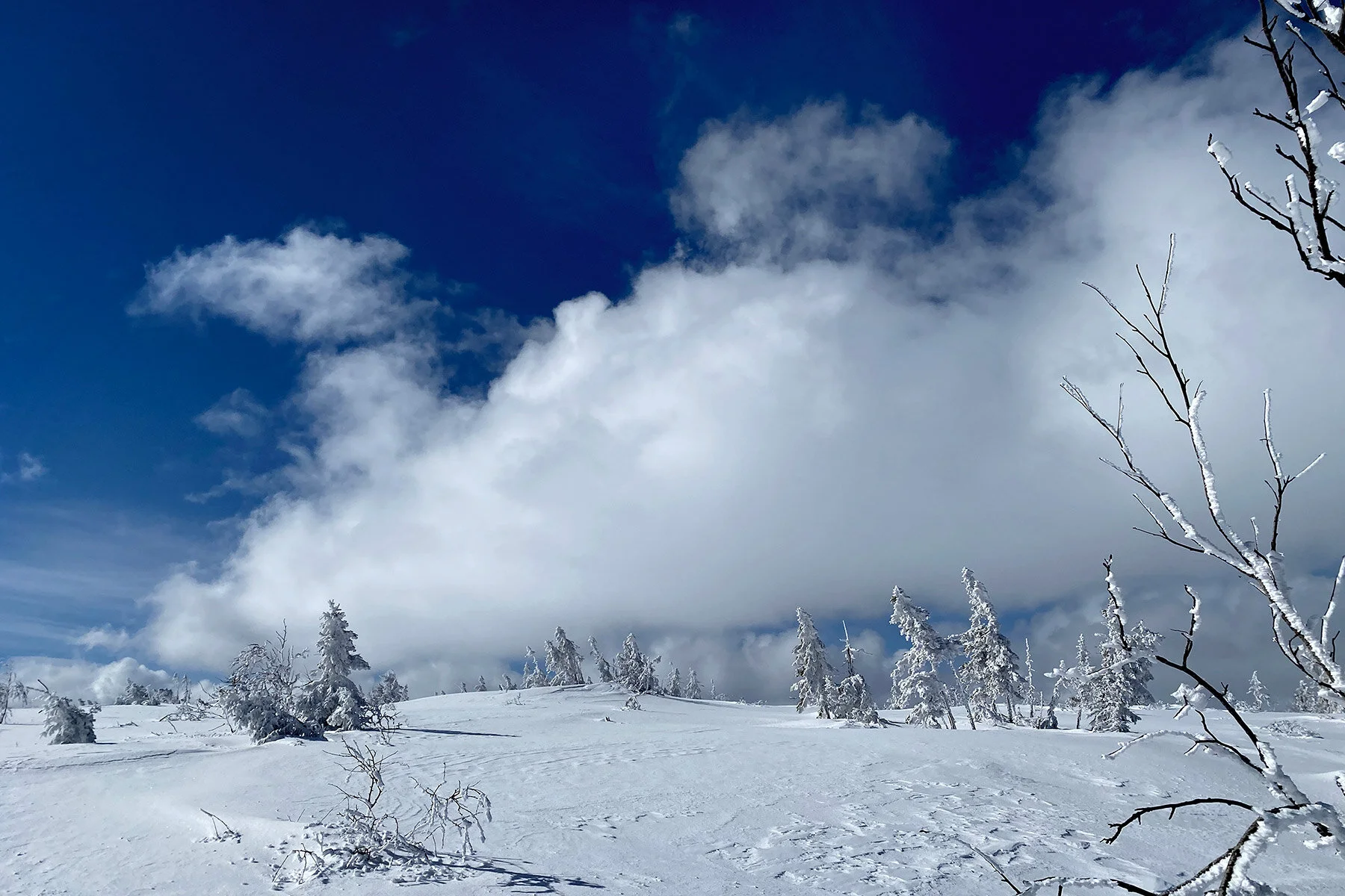 blogg-210413salentisdagbacken26.jpg