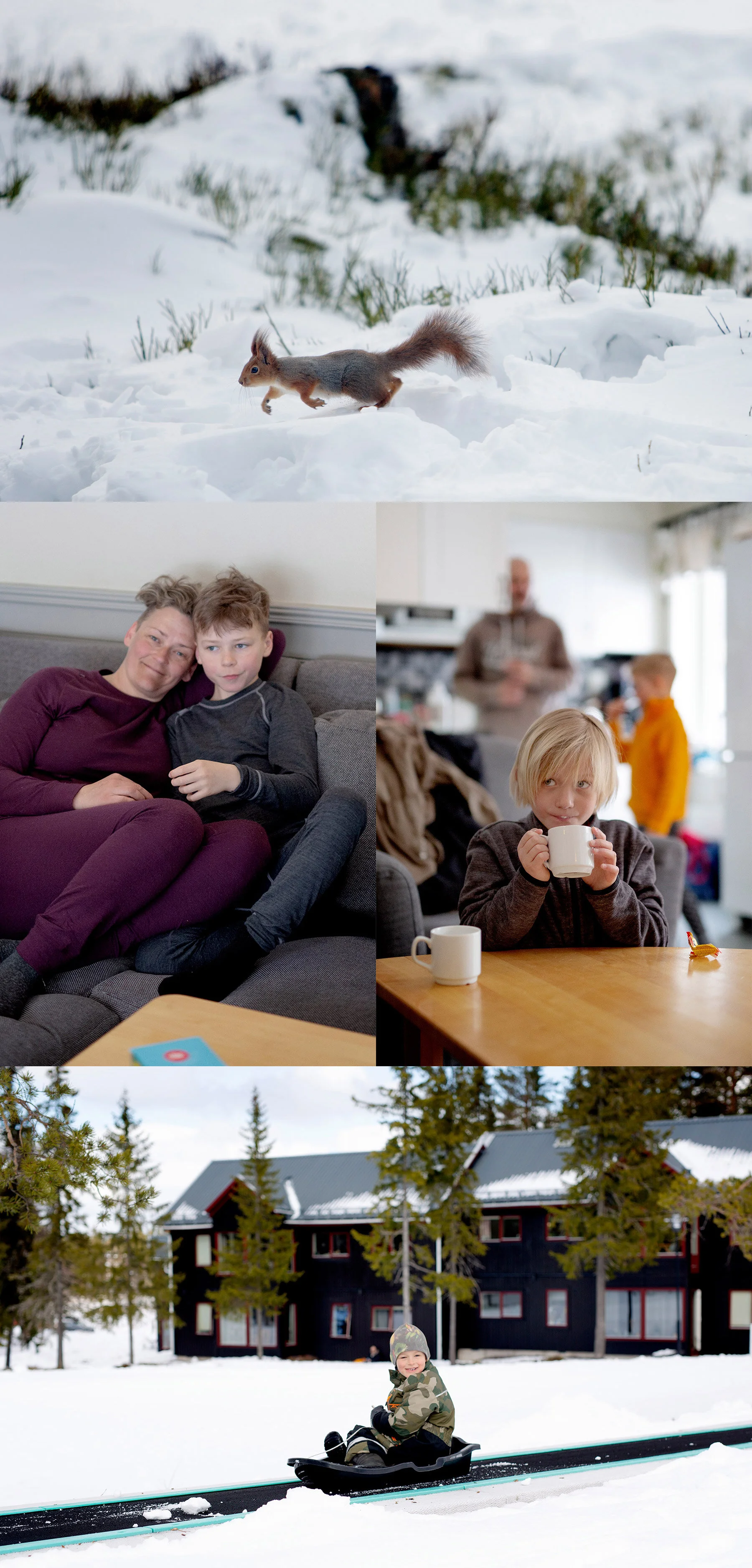 Fjällhäng