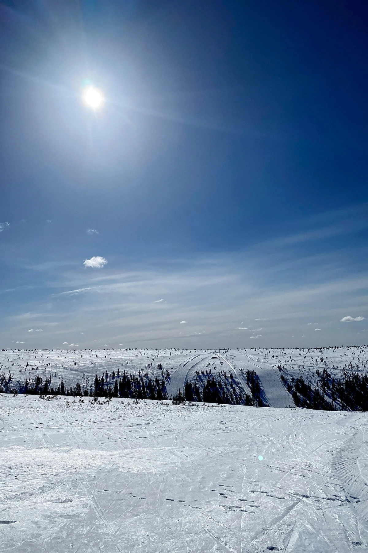 blogg-210416salenfredaghundfjallet28.jpg