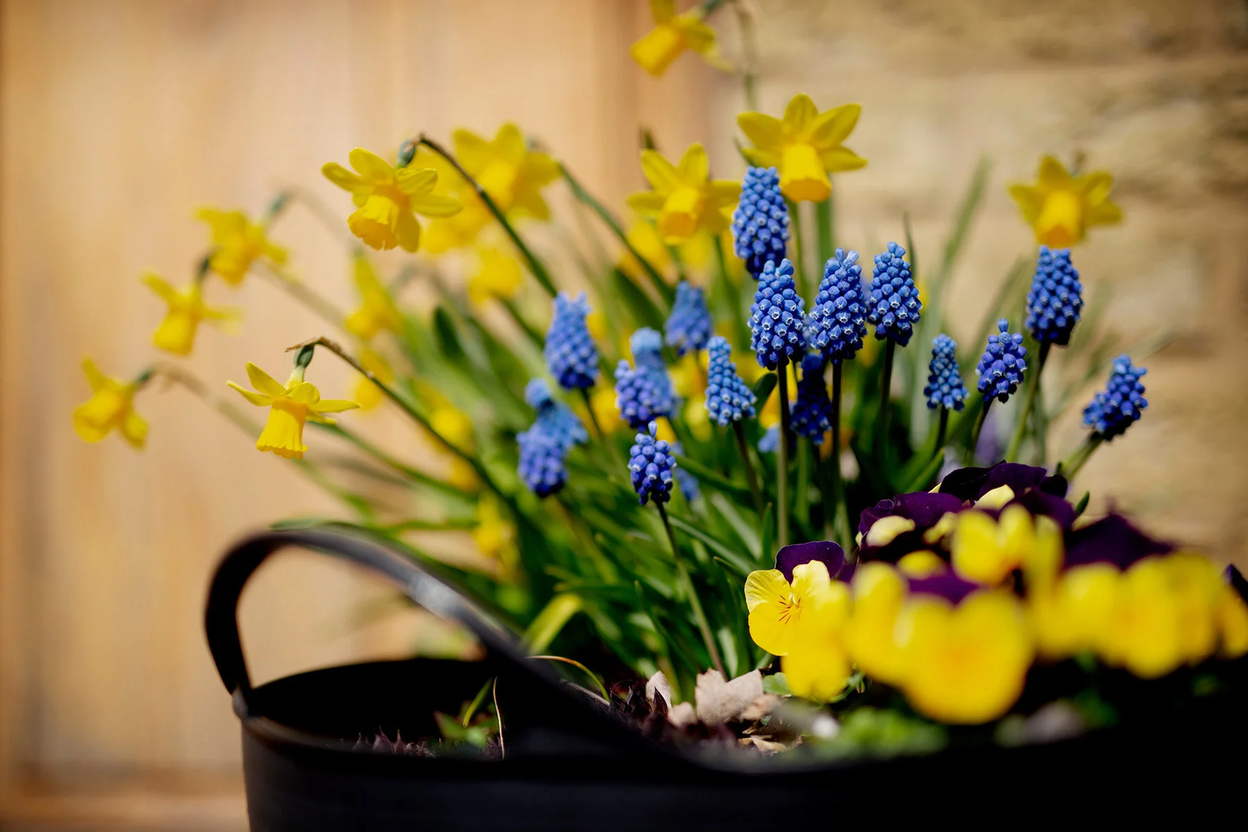 blogg-210418tradgardssommar4.jpg