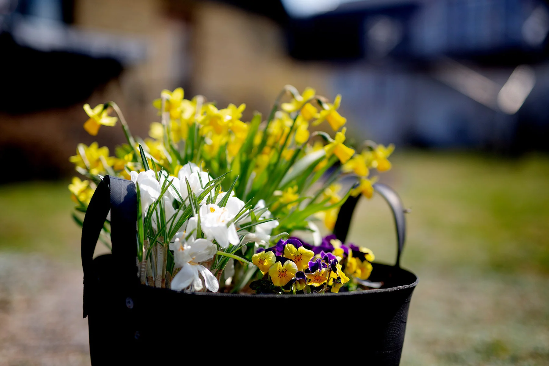 blogg-210418tradgardssommar12.jpg