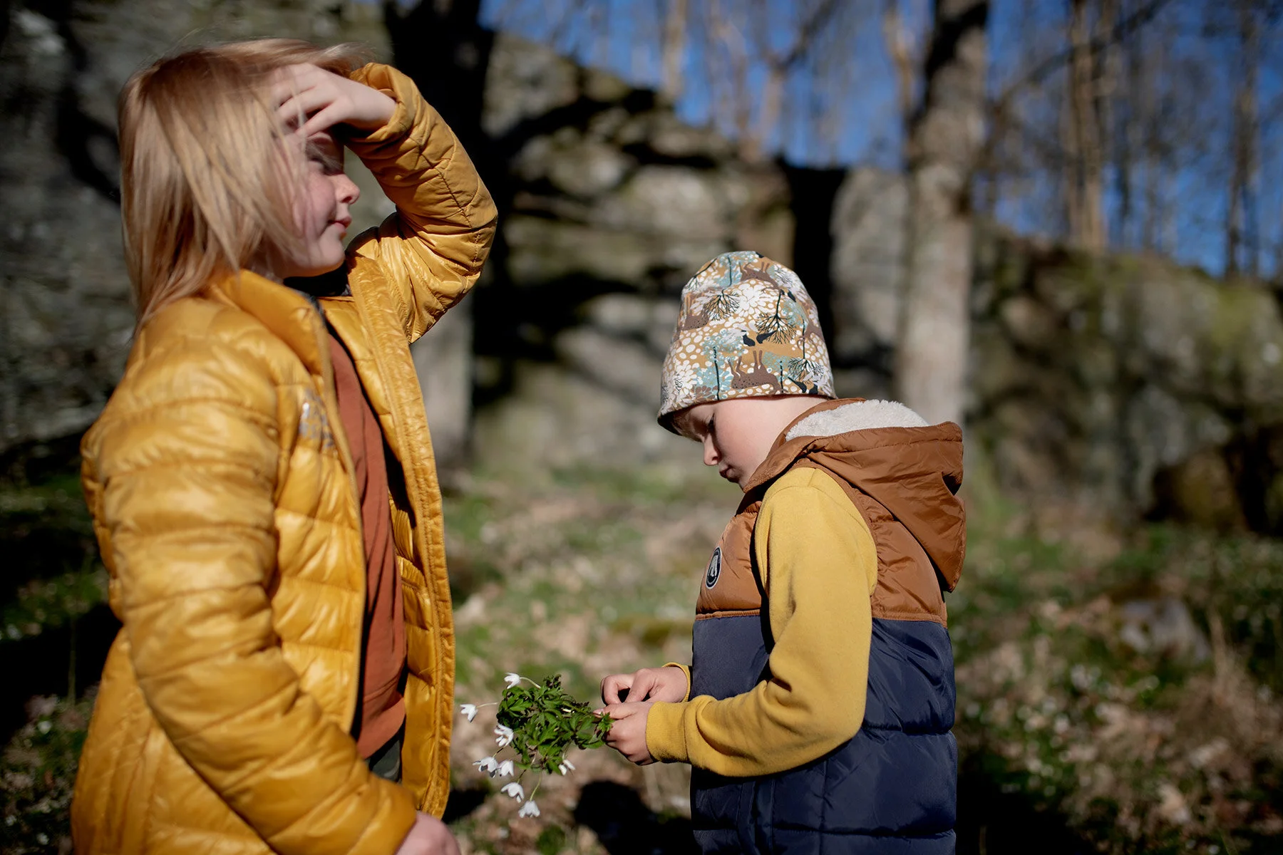 blogg-210422bertilsiggevitsippor4.jpg