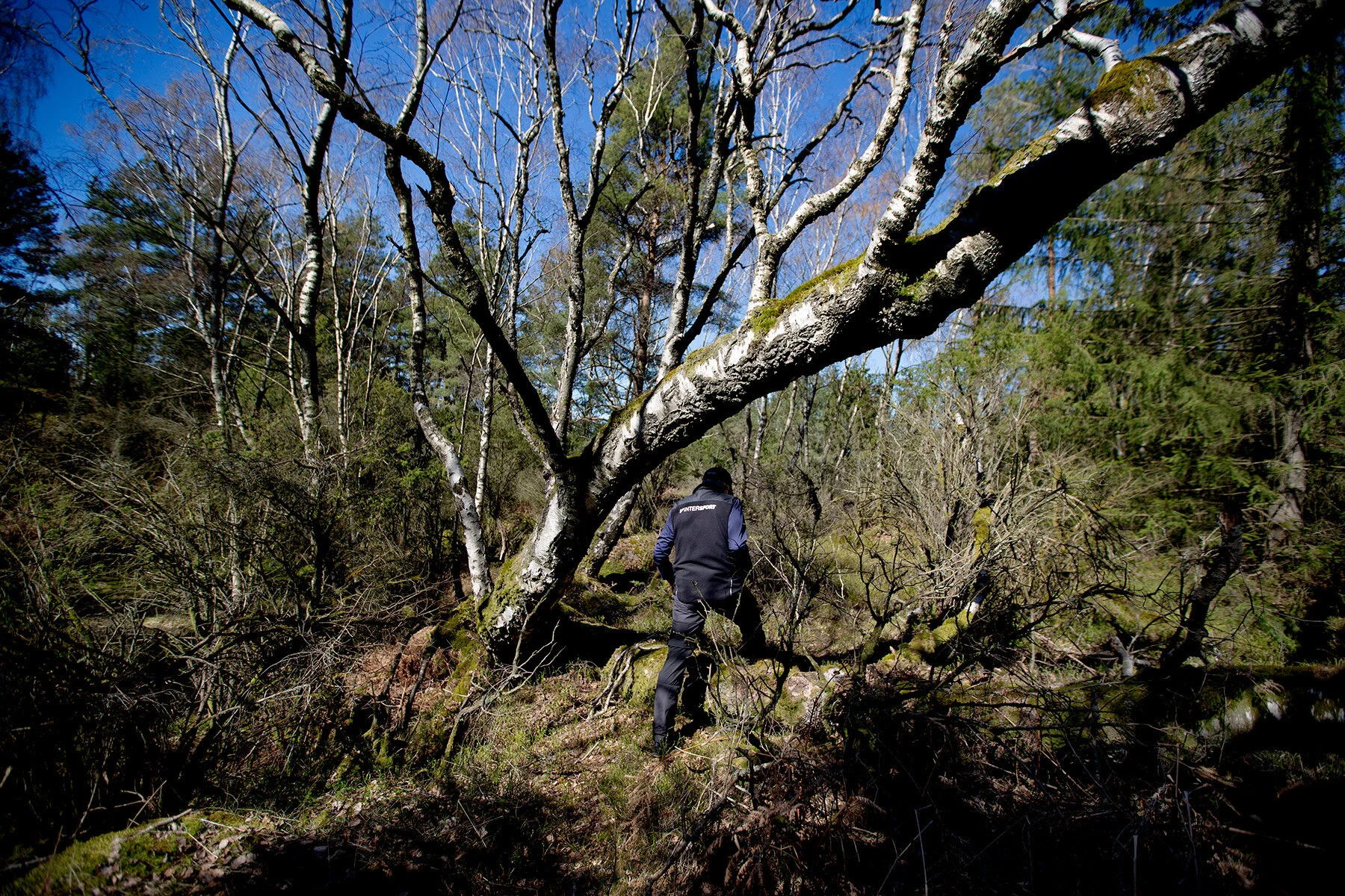 blogg-210423mampapjattegrytan4.jpg