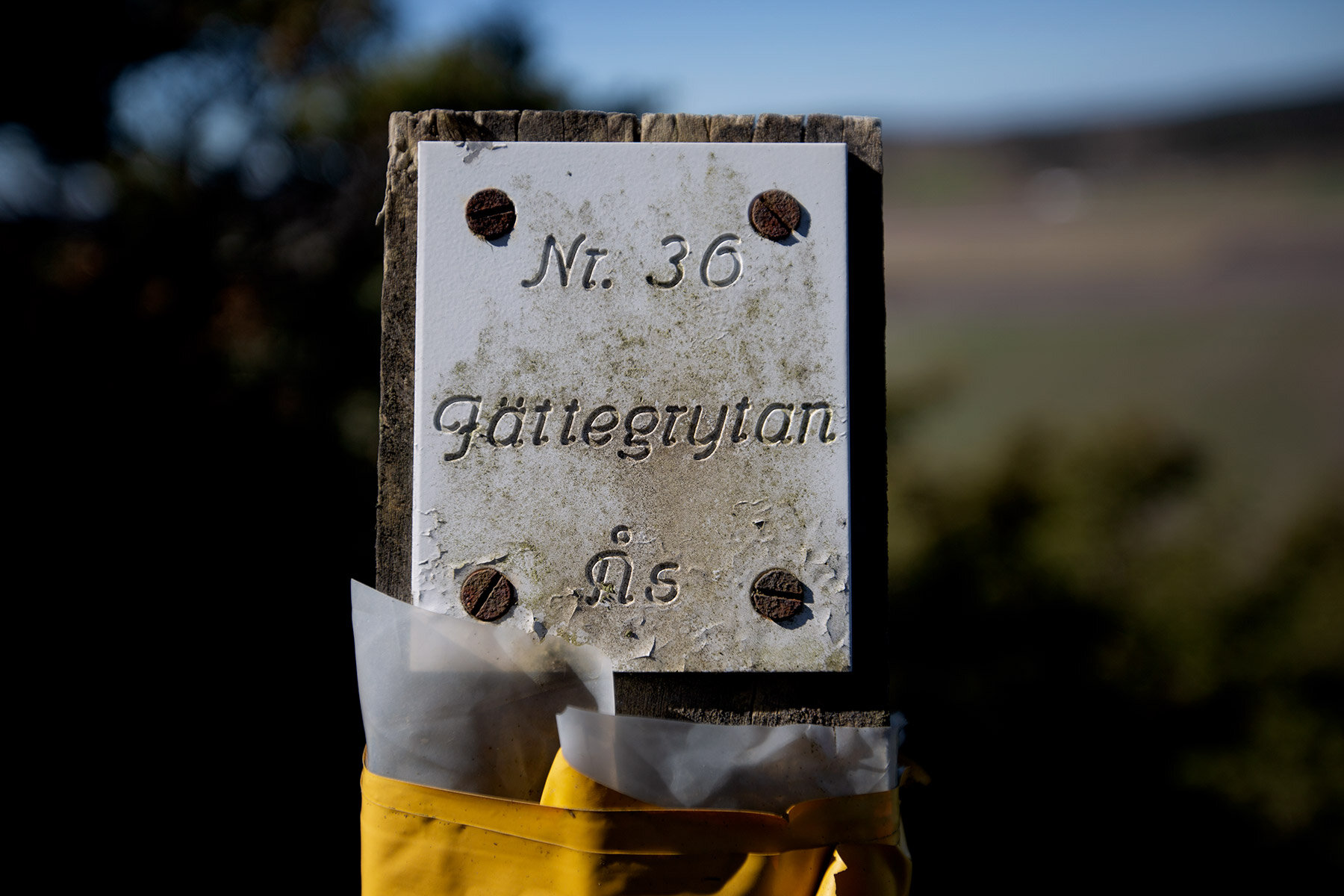 blogg-210423mampapjattegrytan13.jpg