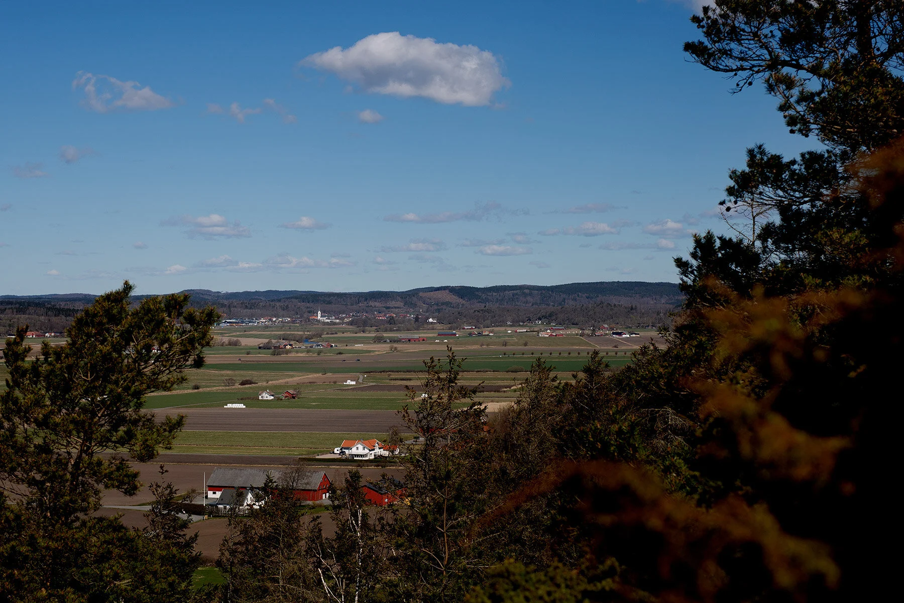 blogg-210423mampapjattegrytan17.jpg