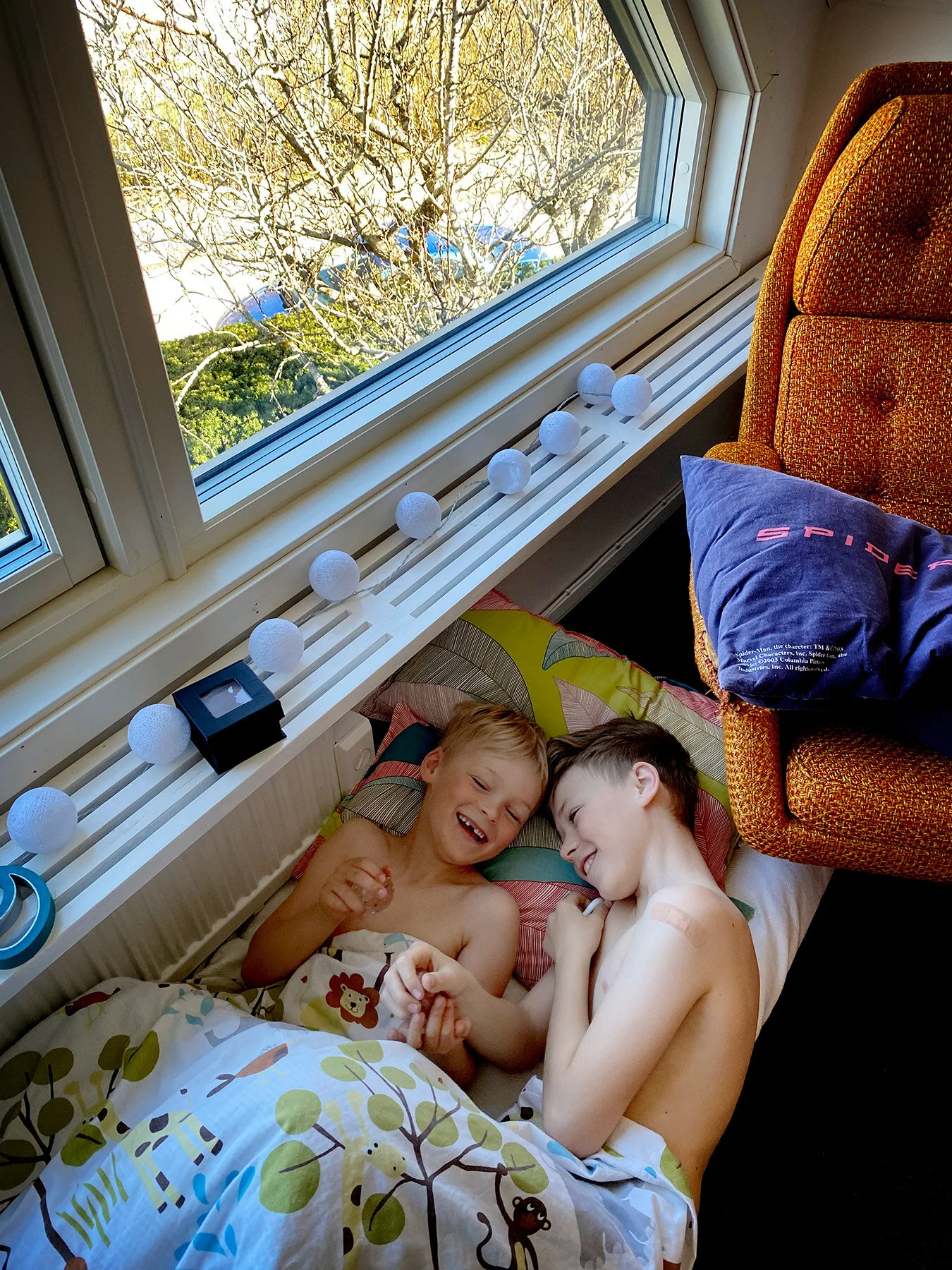Sköna söndag