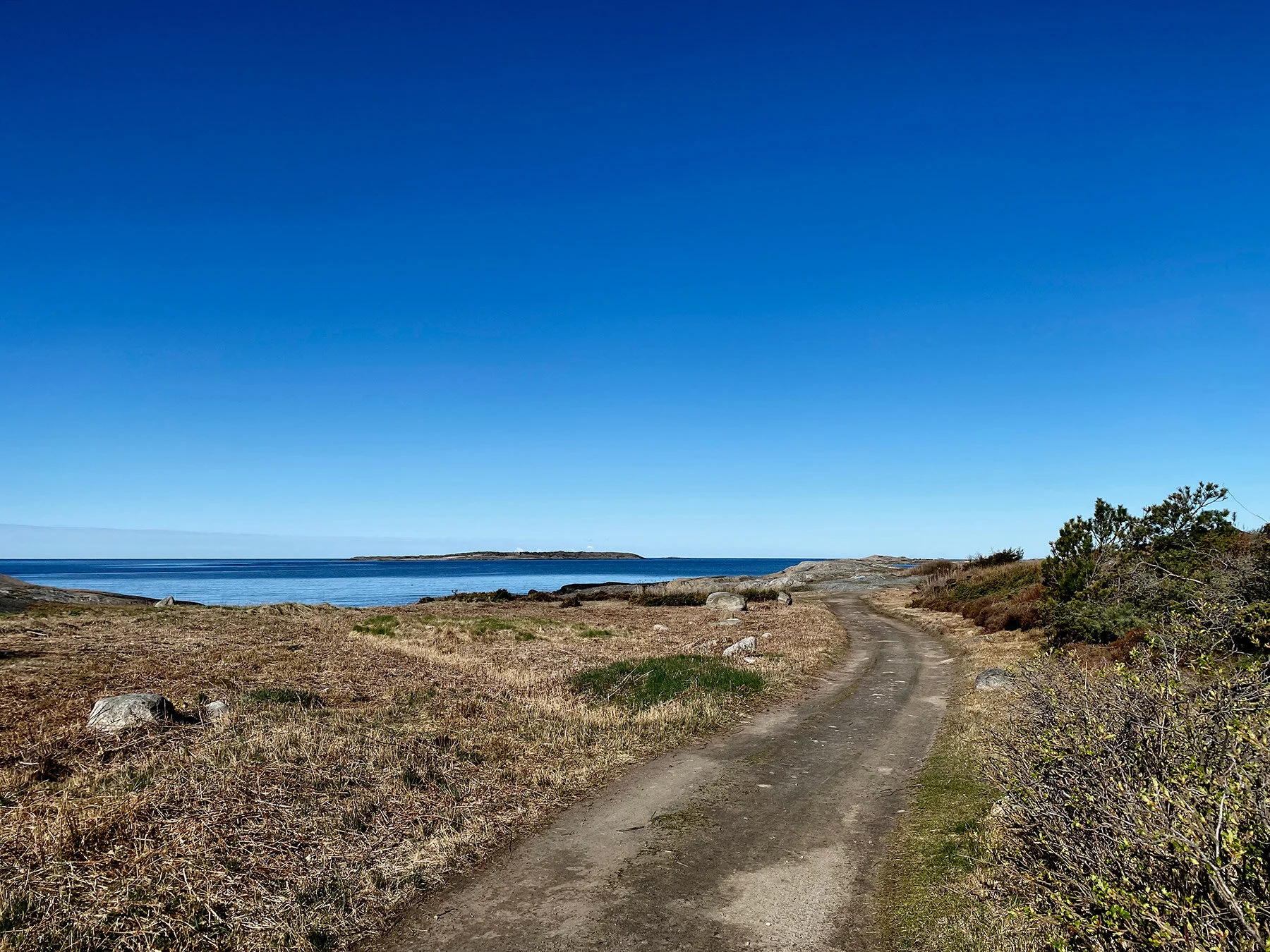 blogg-210426sanddammspromenad5.jpg