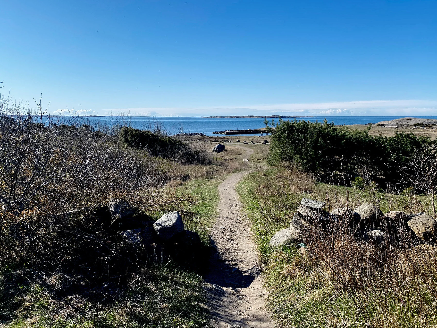 blogg-210426sanddammspromenad8.jpg