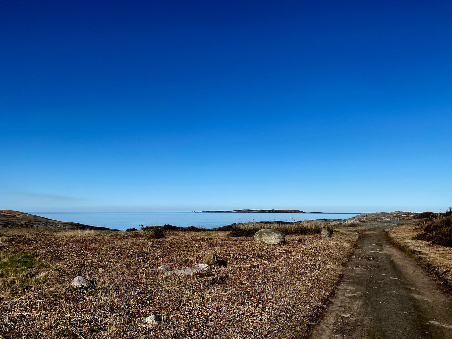 blogg-210427morgonpromenad1.jpg