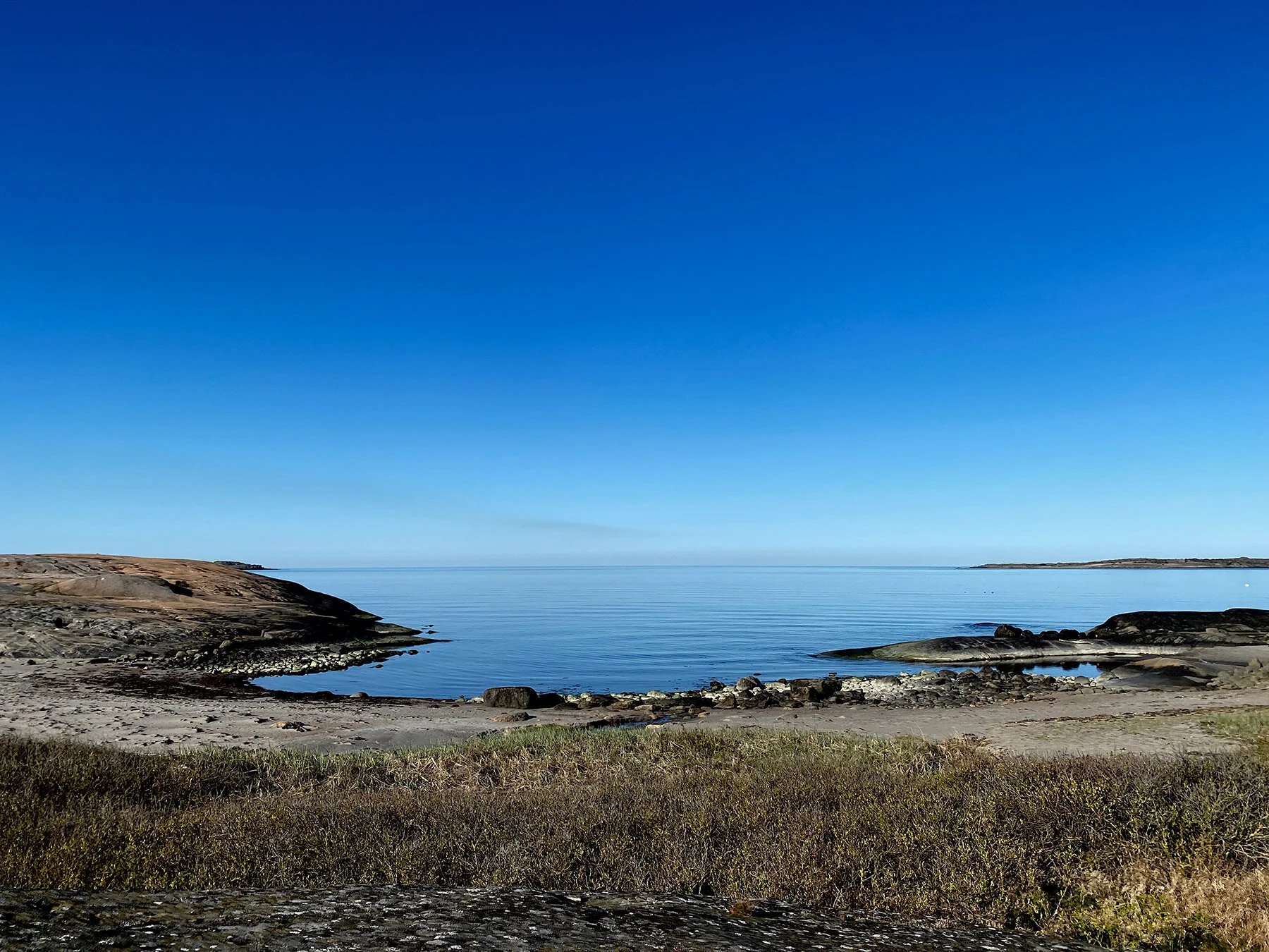 blogg-210427morgonpromenad2.jpg