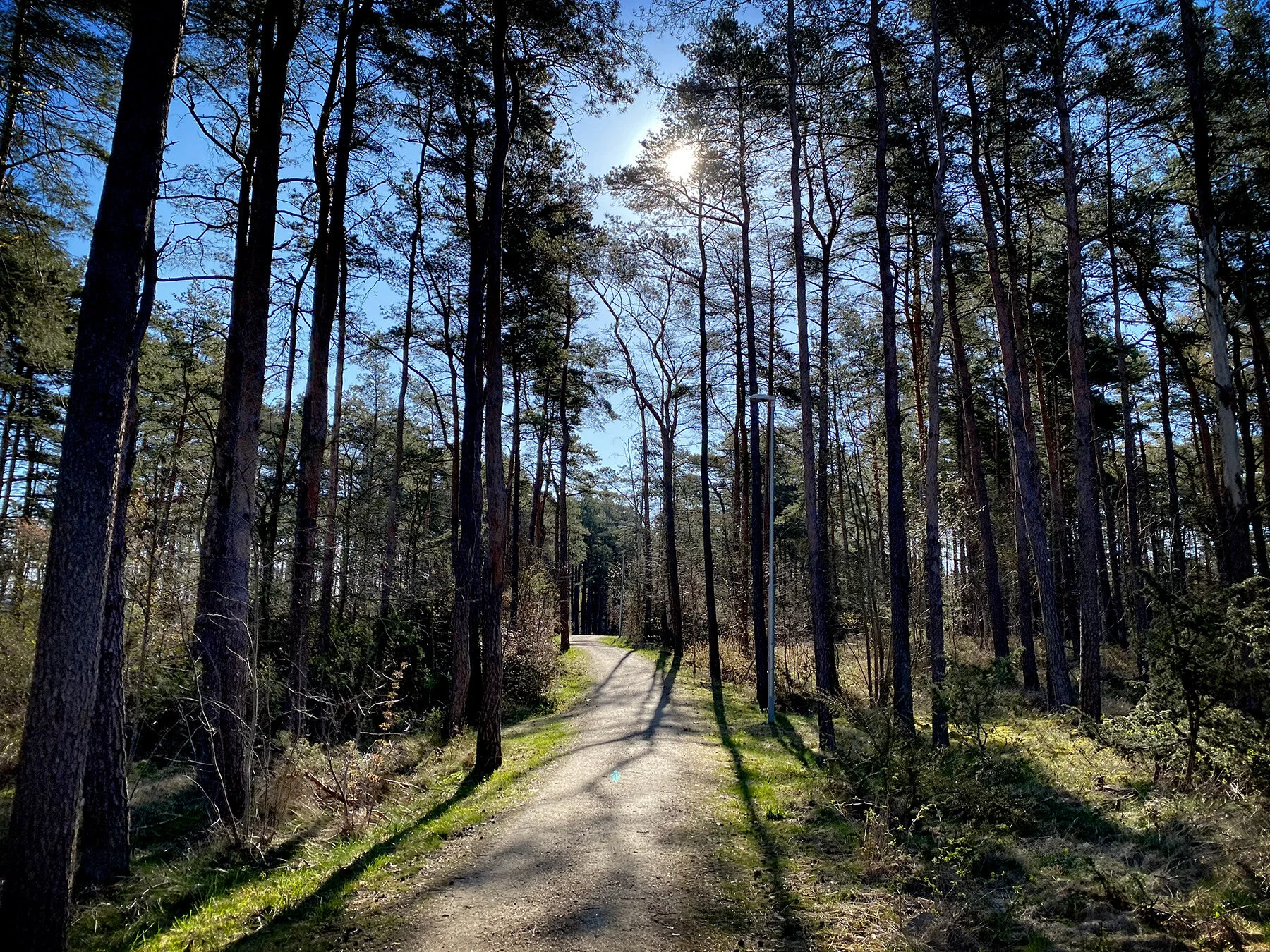 blogg-210427morgonpromenad4.jpg