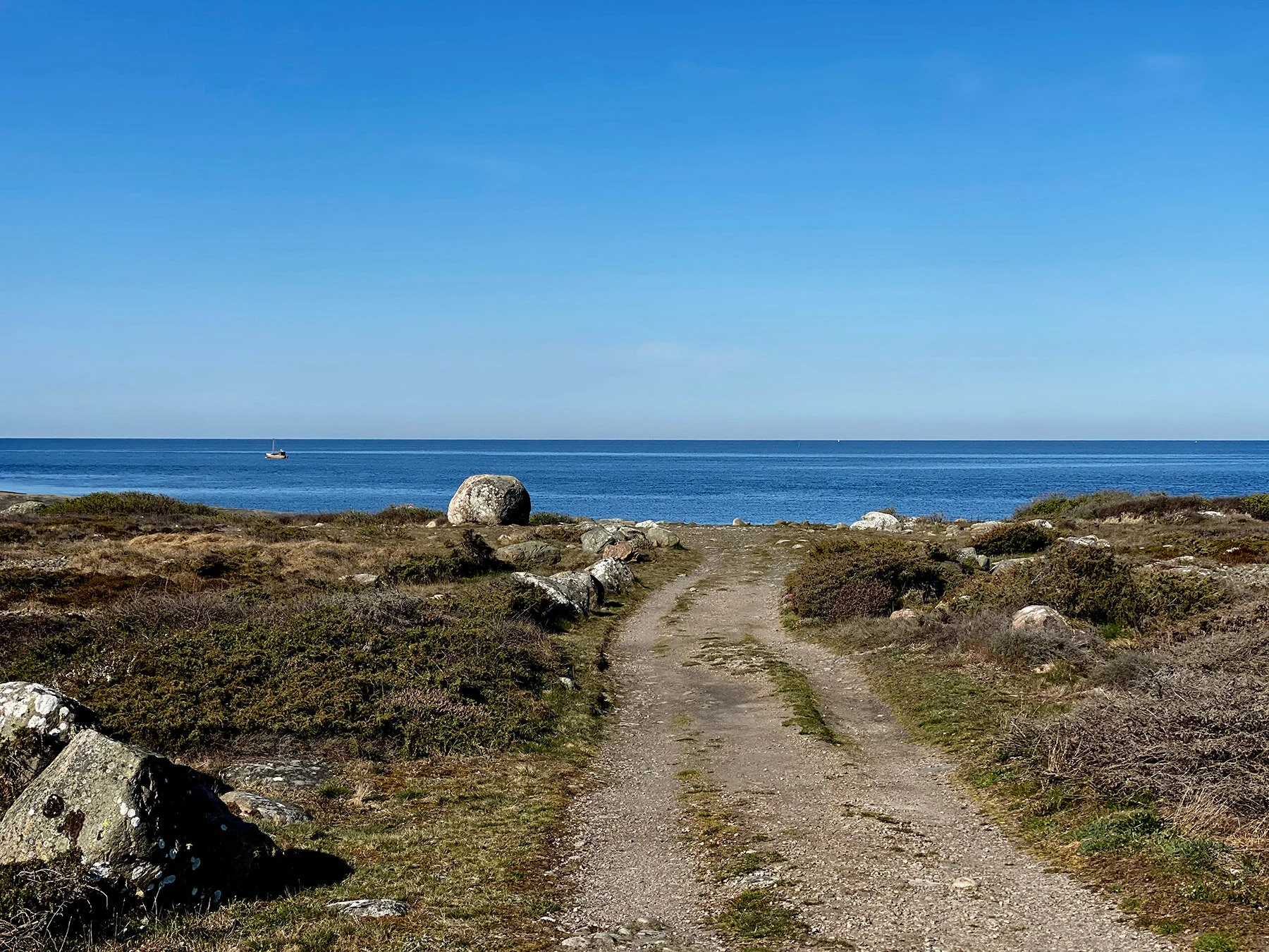 blogg-210428morgonpromenad5.jpg