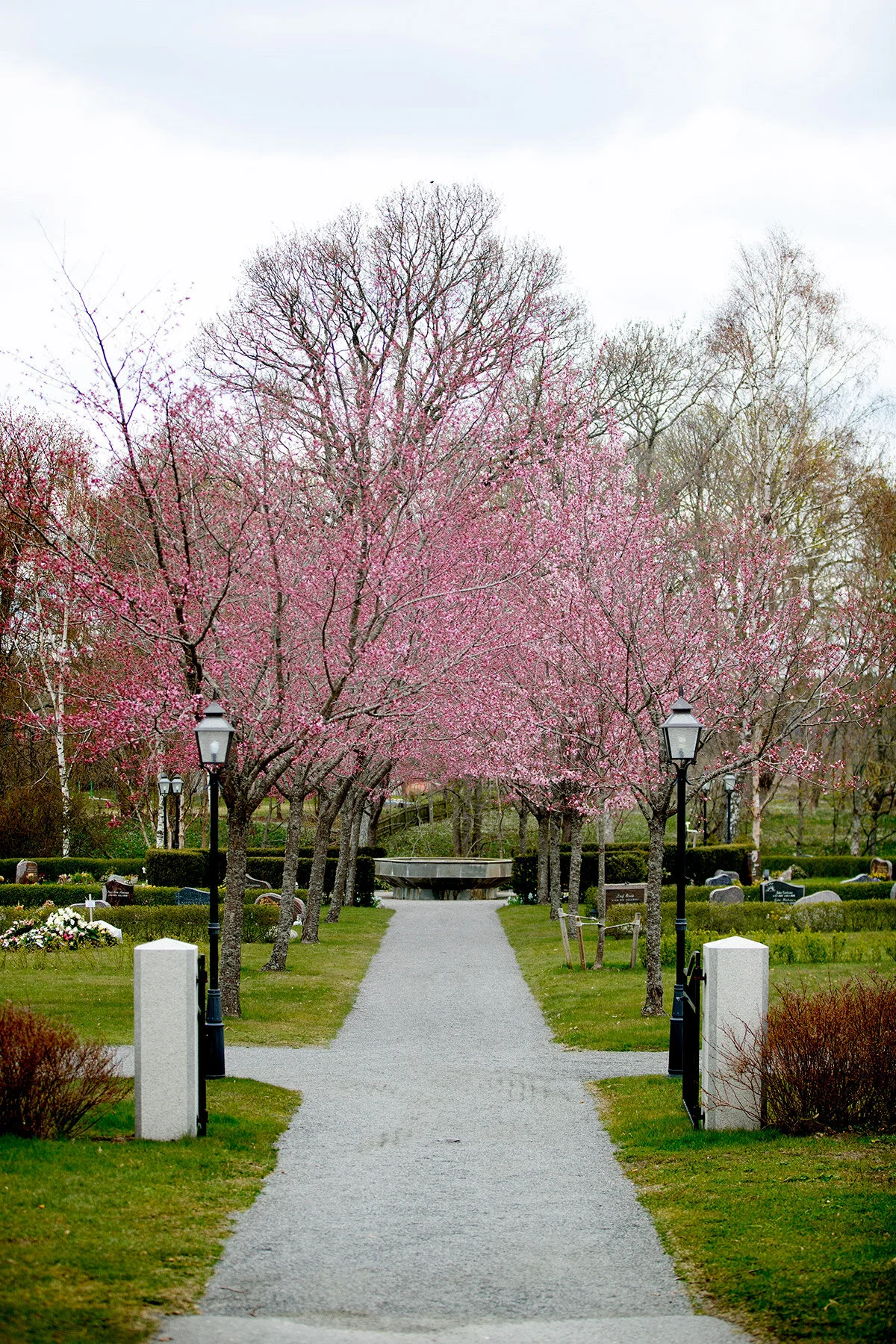 blogg-210429korsbarsblomvarokyrka1.jpg