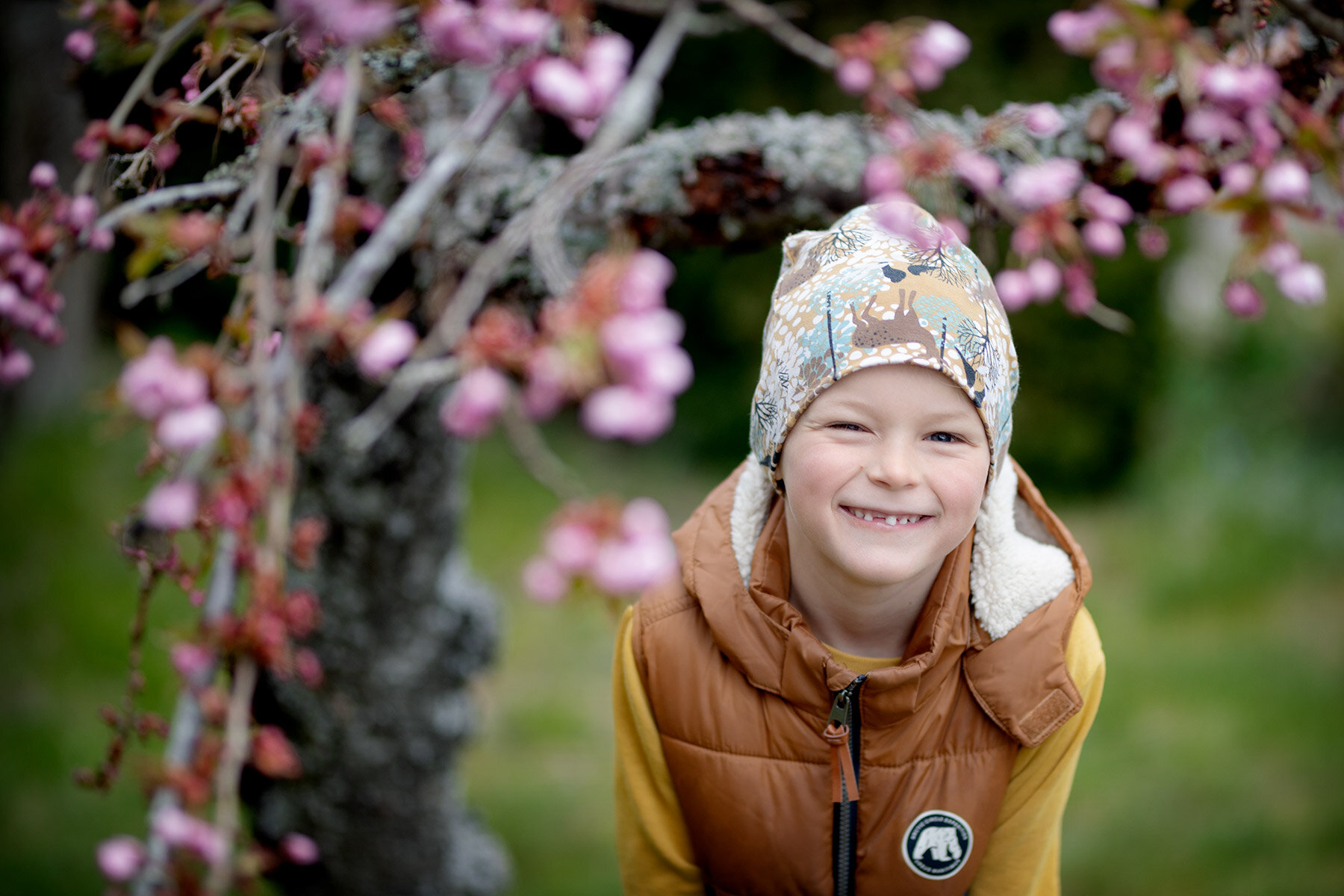 blogg-210507krorsbarsblombertil2.jpg