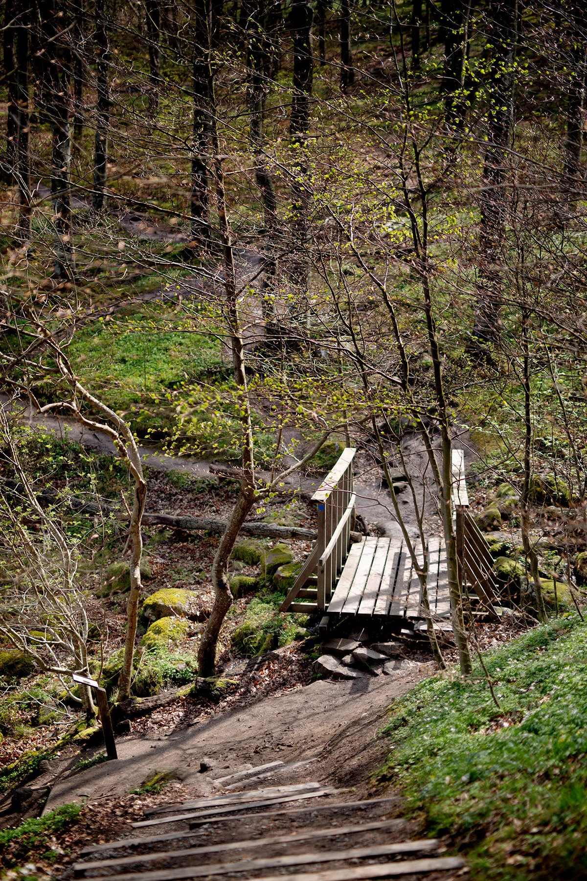 blogg-210509molle6.jpg