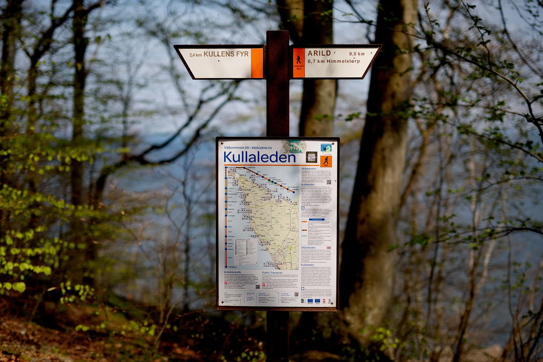 blogg-210509molle7.jpg