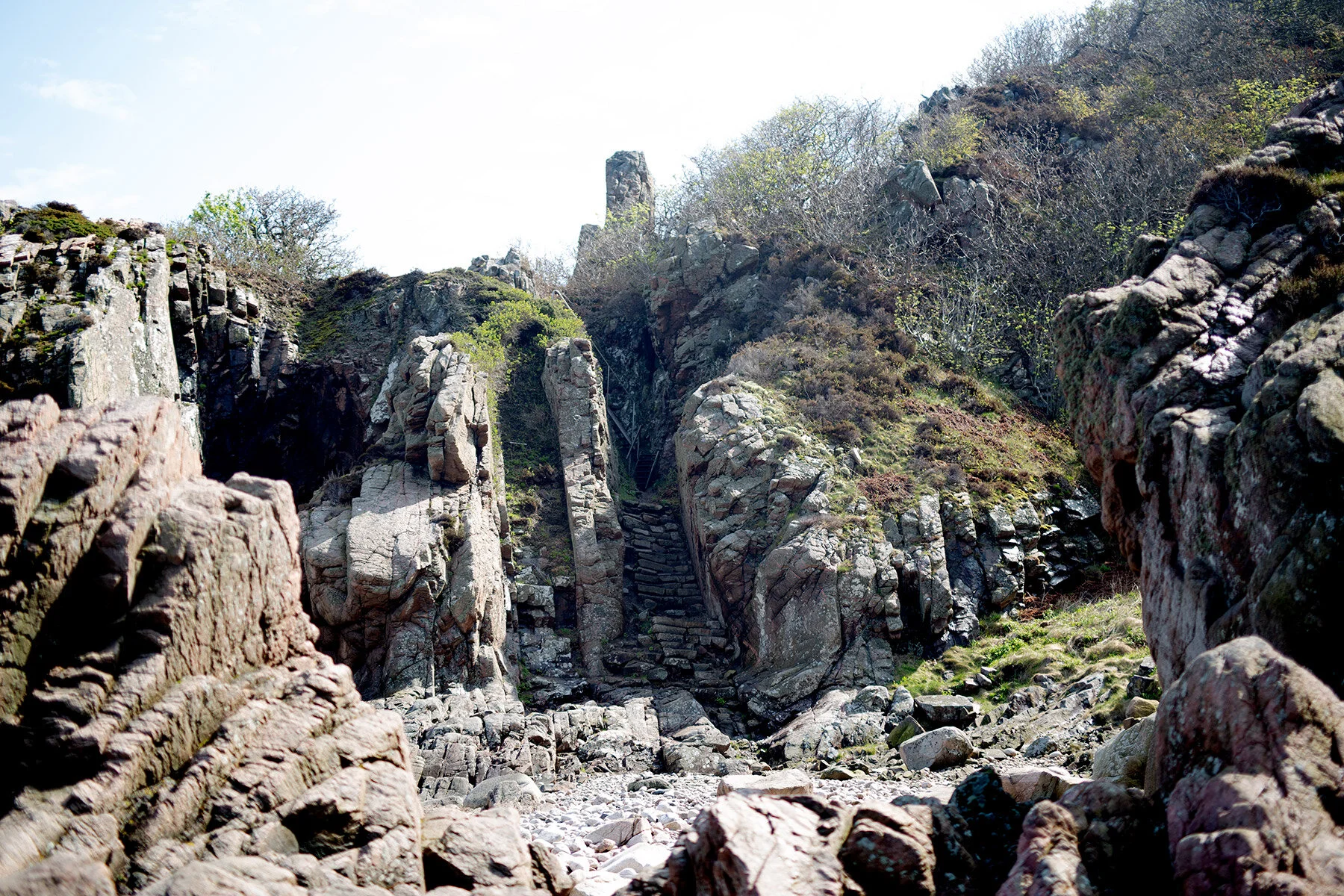 blogg-210509molle15.jpg