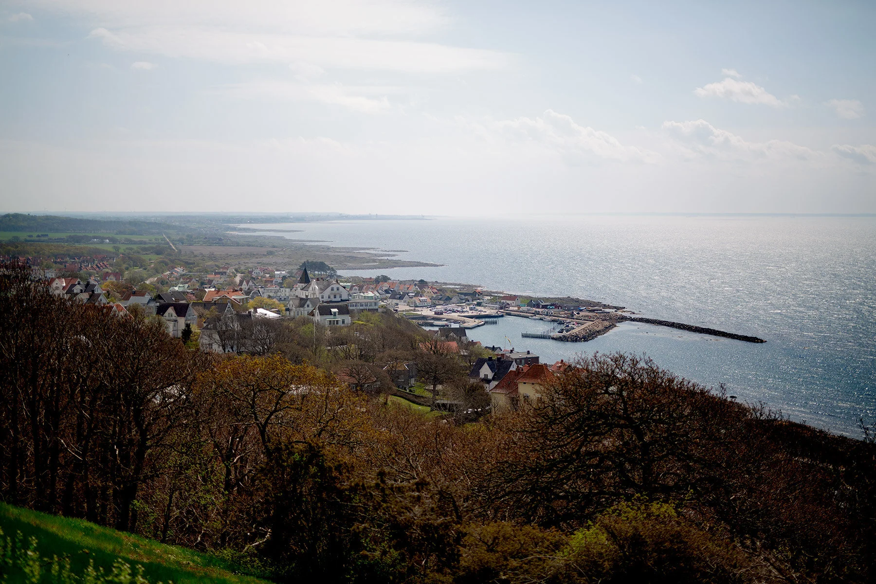 blogg-210509molleby1.jpg