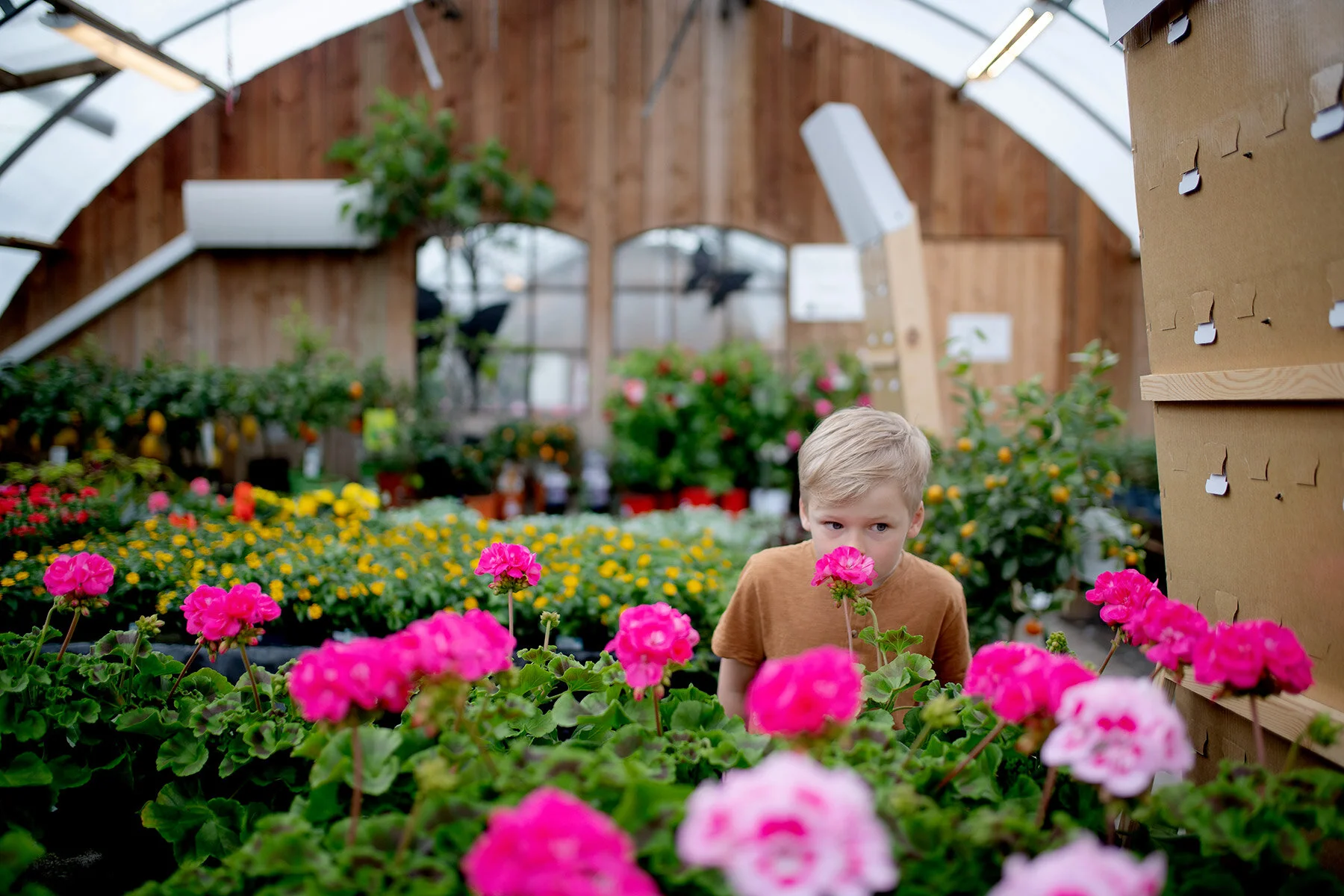 blogg-210510blomsterstugan2.jpg