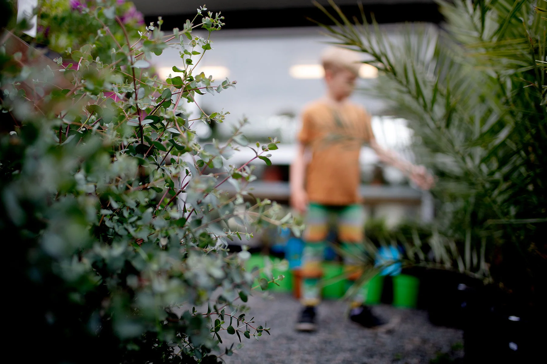 blogg-210510blomsterstugan4.jpg