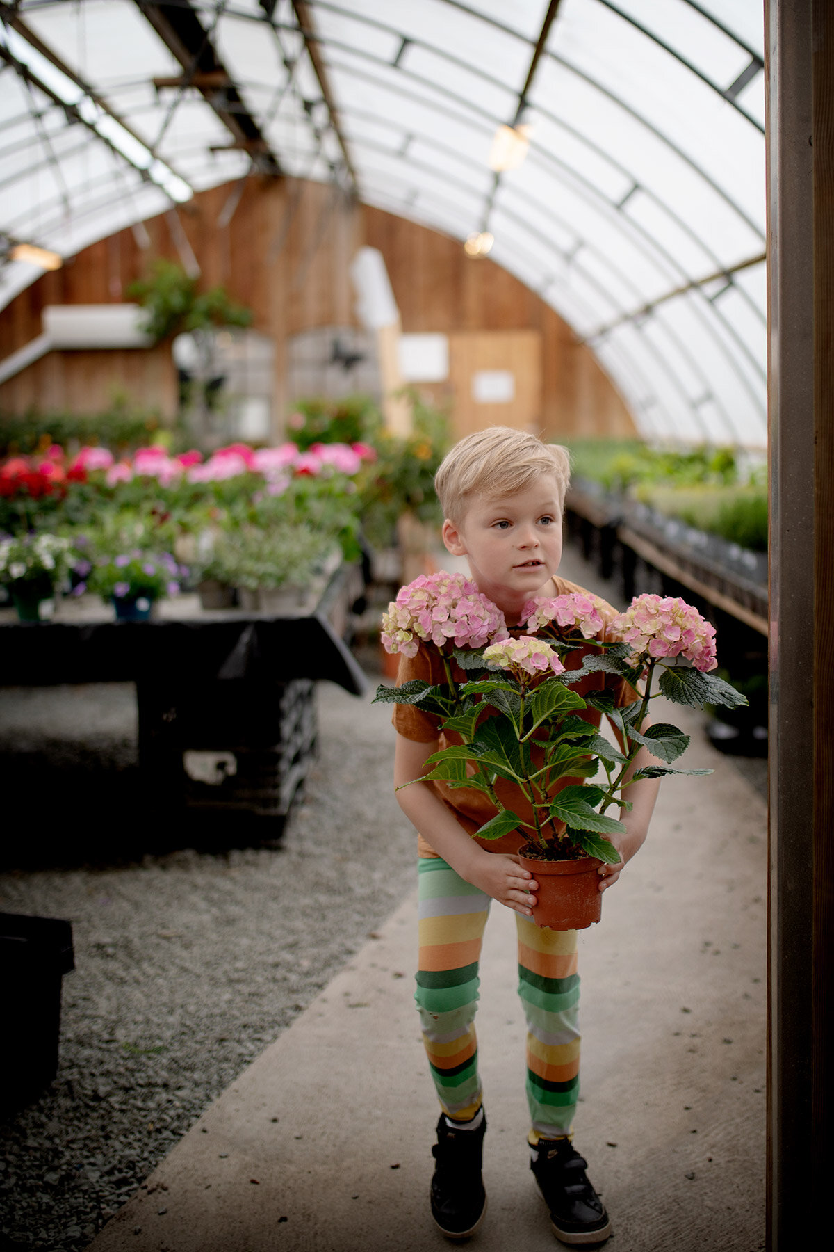 blogg-210510blomsterstugan5.jpg