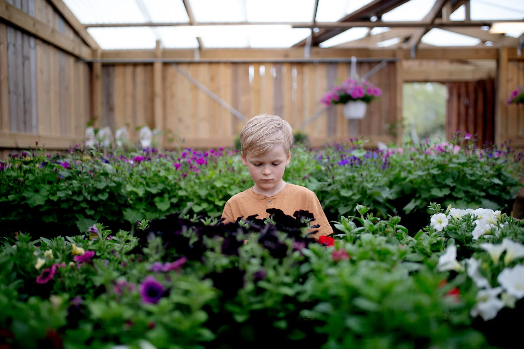 blogg-210510blomsterstugan7.jpg