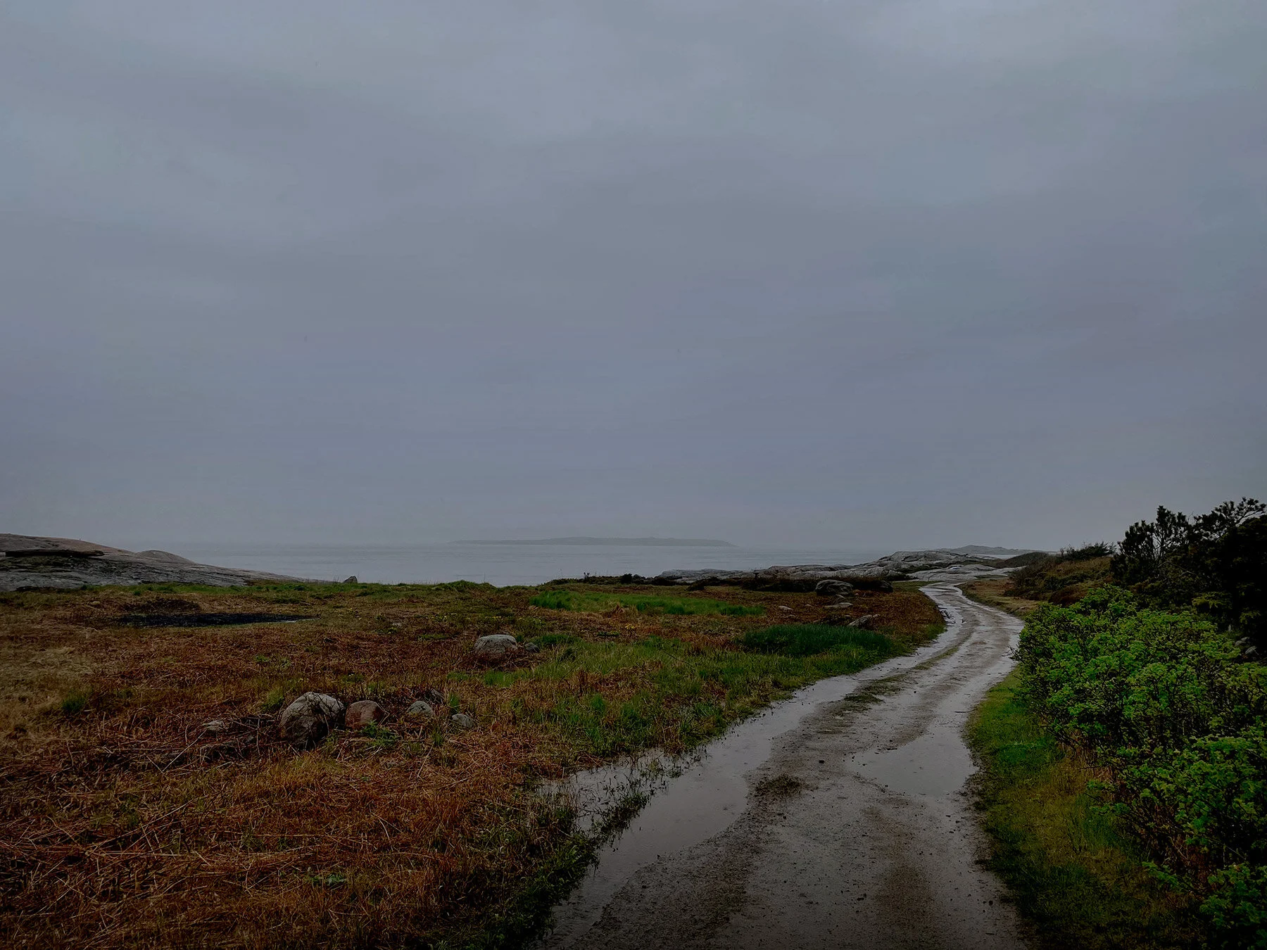 blogg-210511regnpromenad2.jpg