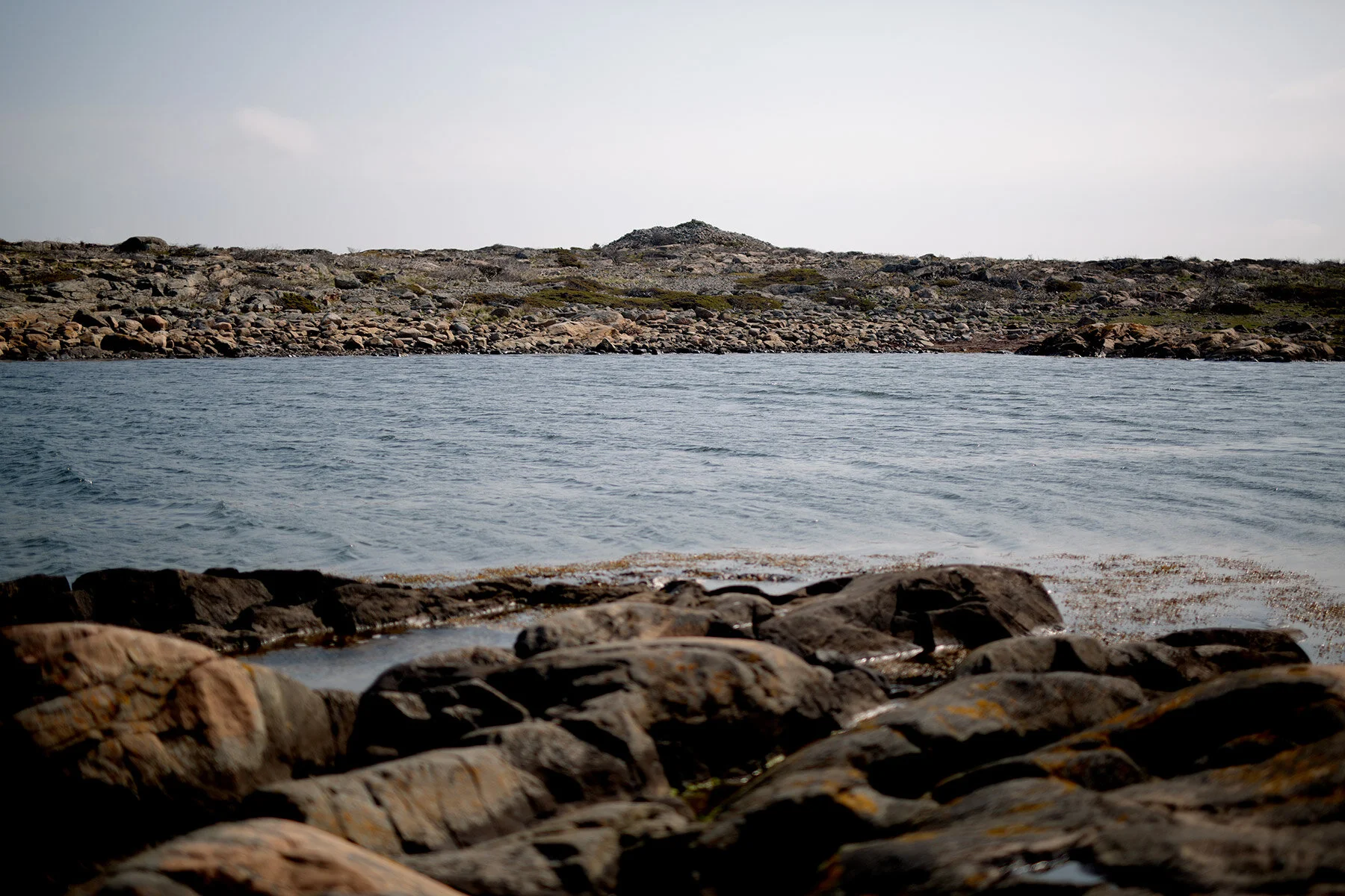 blogg-210513sunneromorgon10.jpg