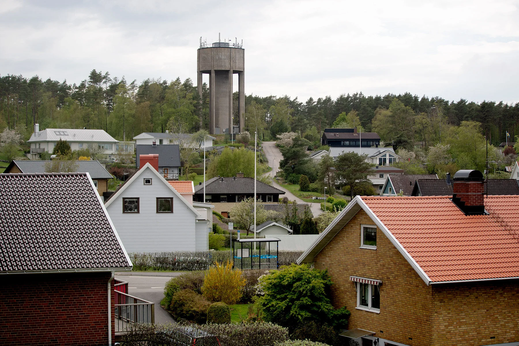 blogg-210516tradgardsfix14.jpg