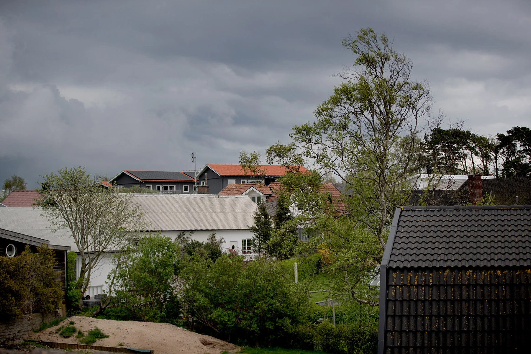 blogg-210516tradgardsfix16.jpg