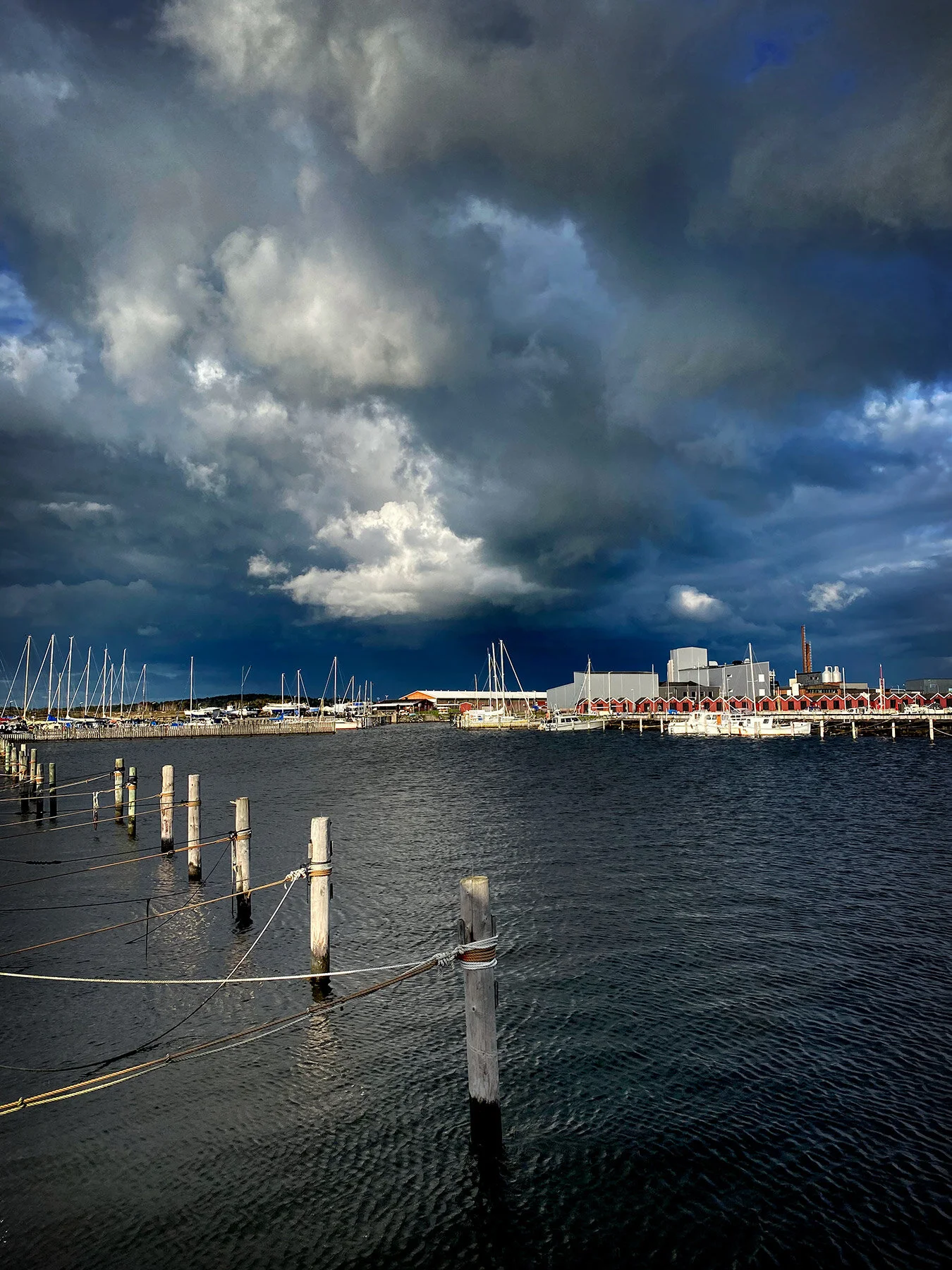 blogg-210520batpromenad4.jpg