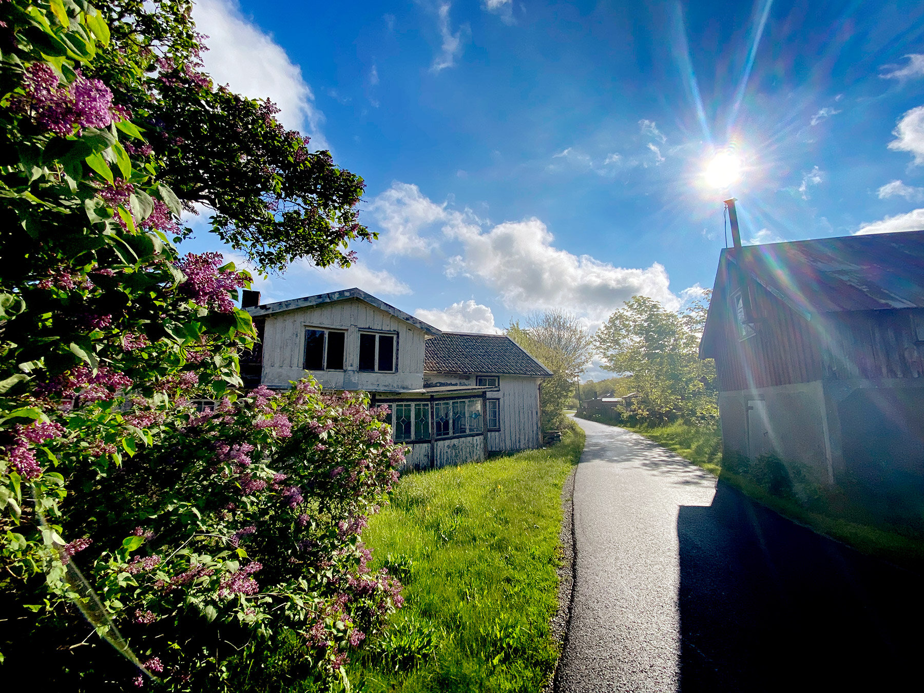 blogg-210526promenad1.jpg