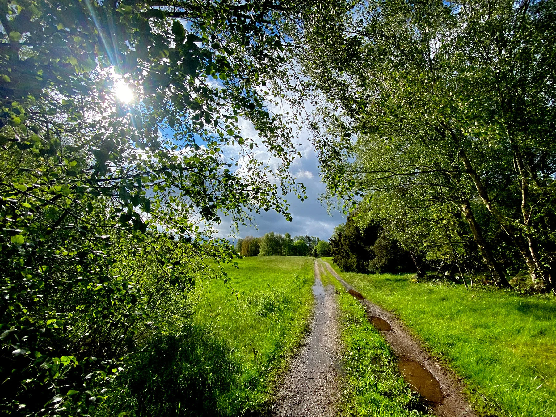 blogg-210526promenad3.jpg