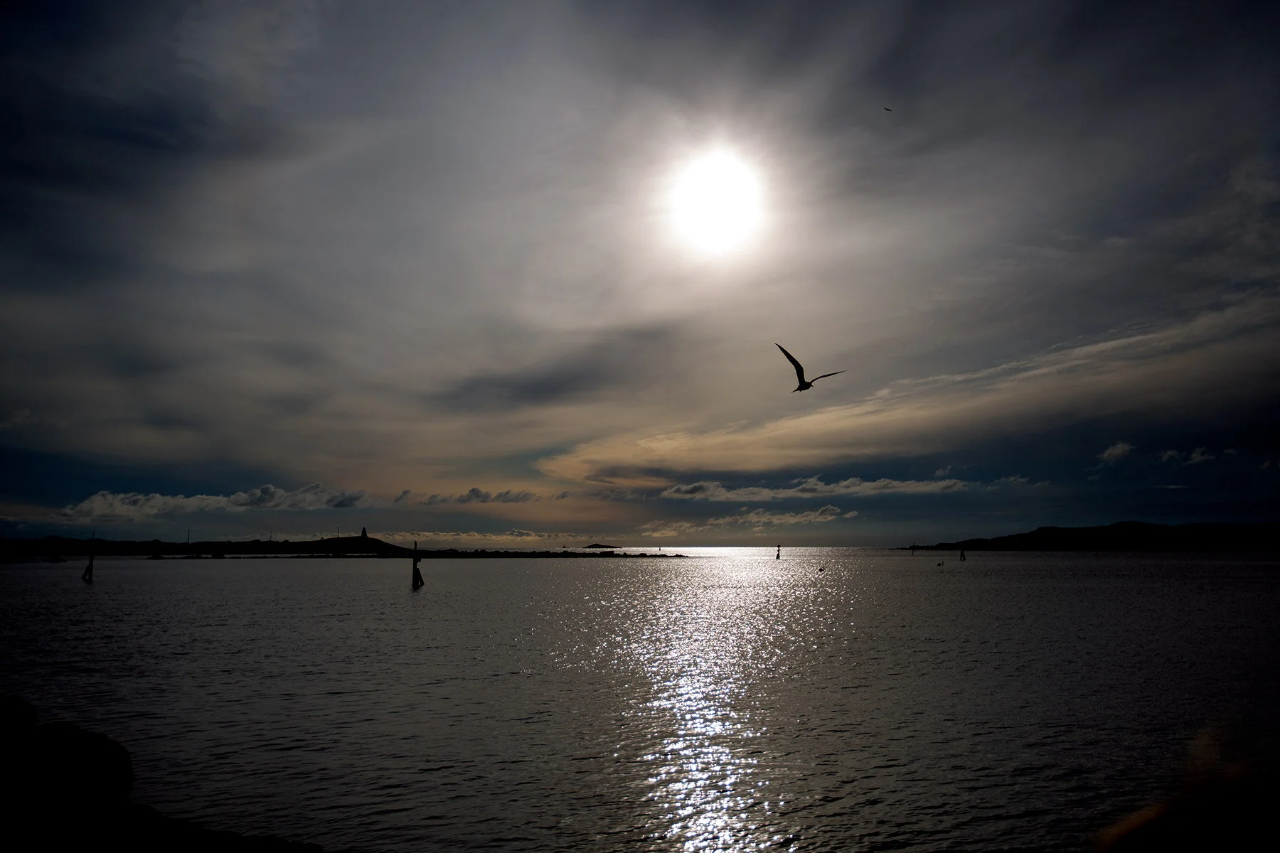 blogg-210626batenhamnen5.jpg