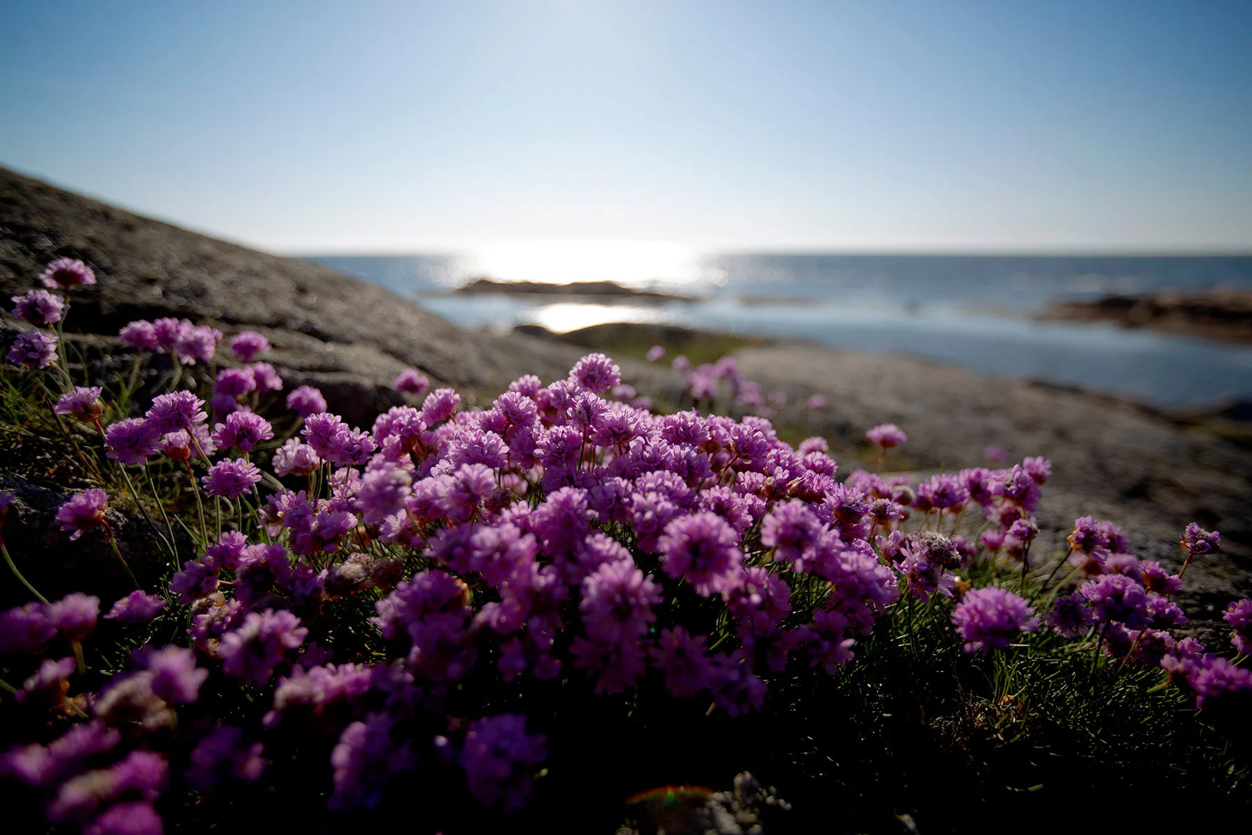 blogg-210529sunnero13.jpg