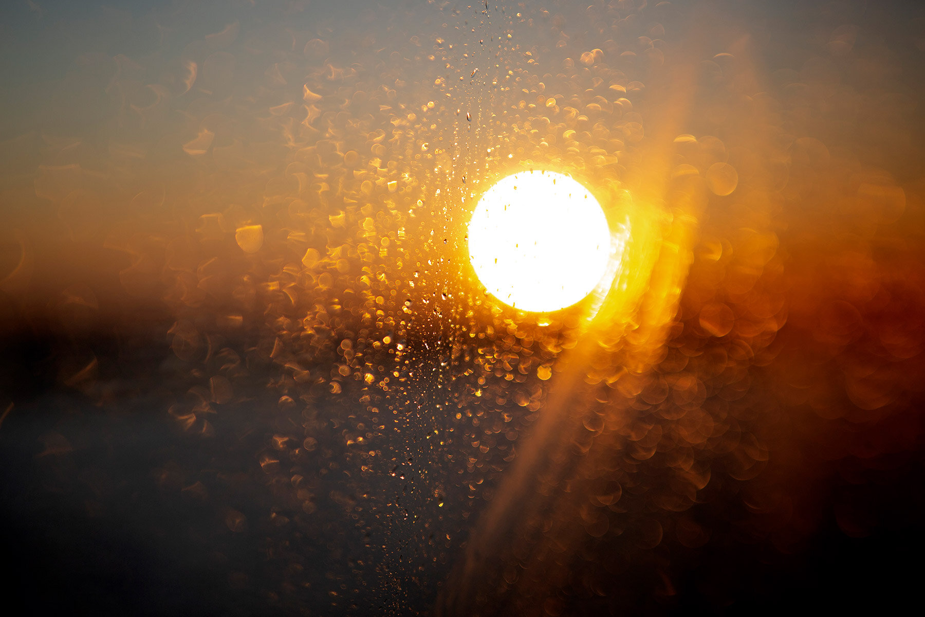 blogg-210529sunnero35.jpg