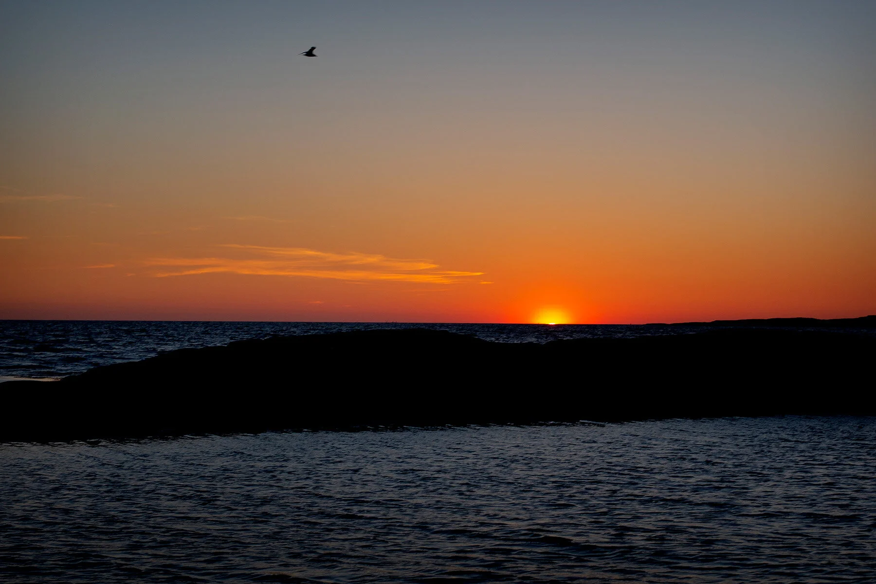 blogg-210529sunnero37.jpg