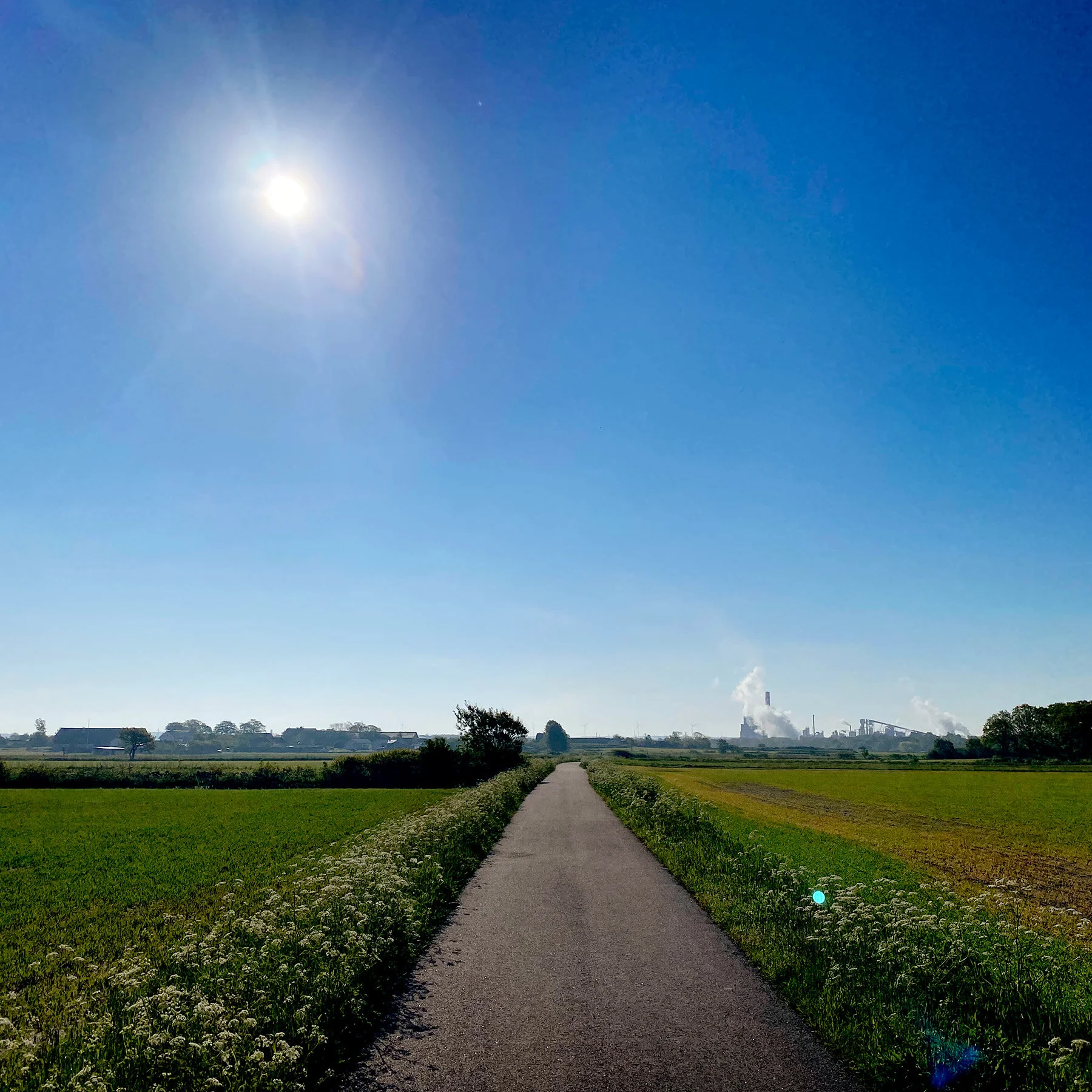 blogg-210531promenad1.jpg