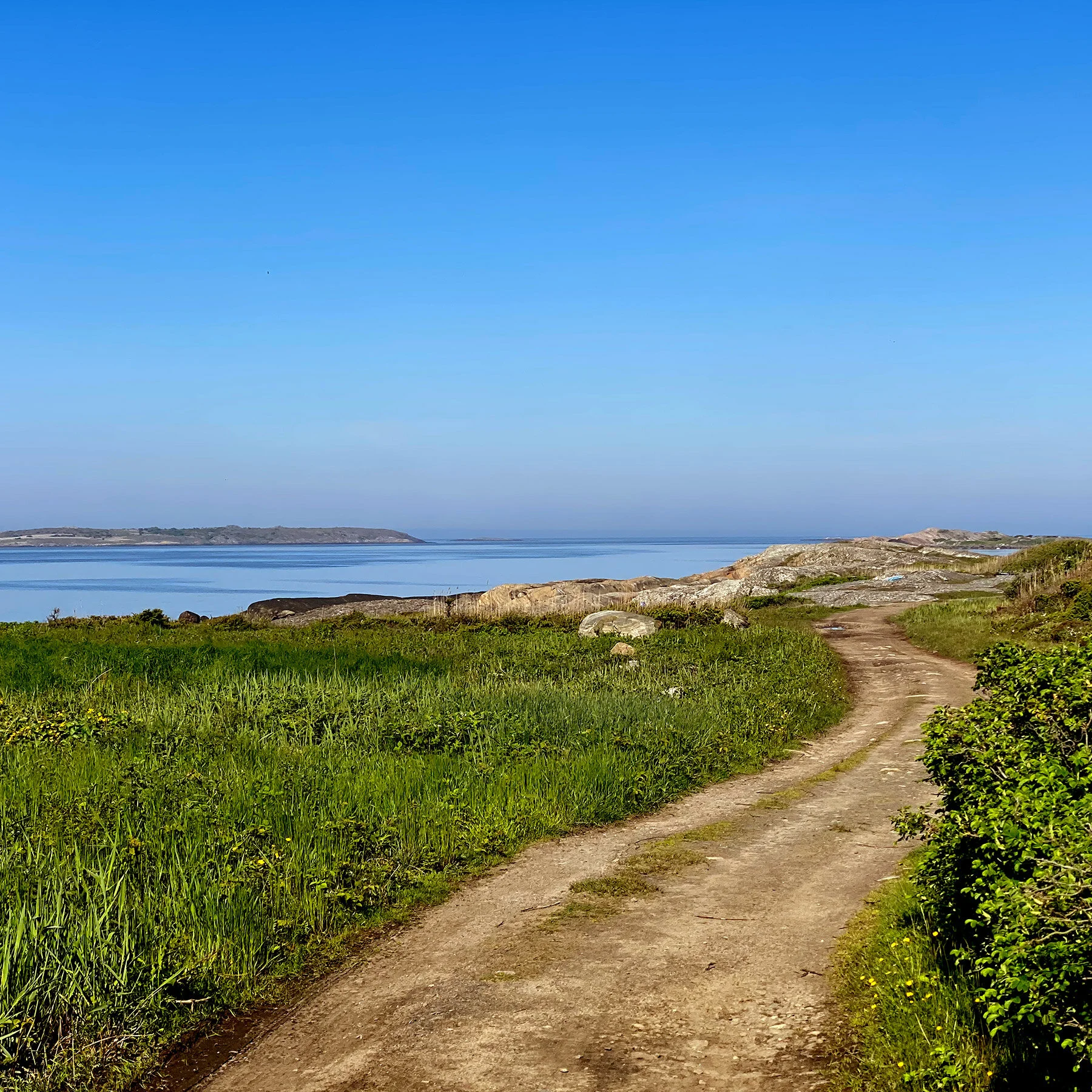 blogg-210531promenad5.jpg