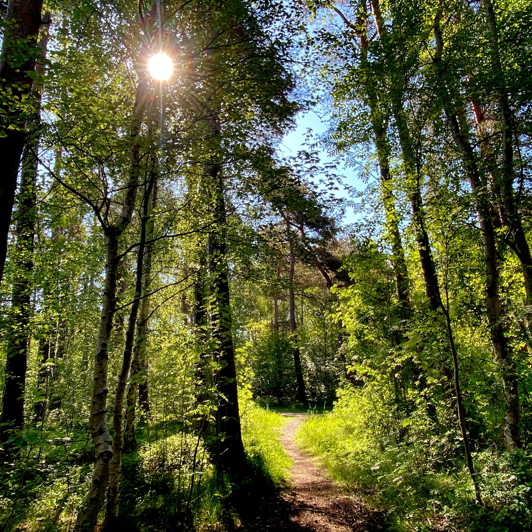 blogg-210531promenad9.jpg