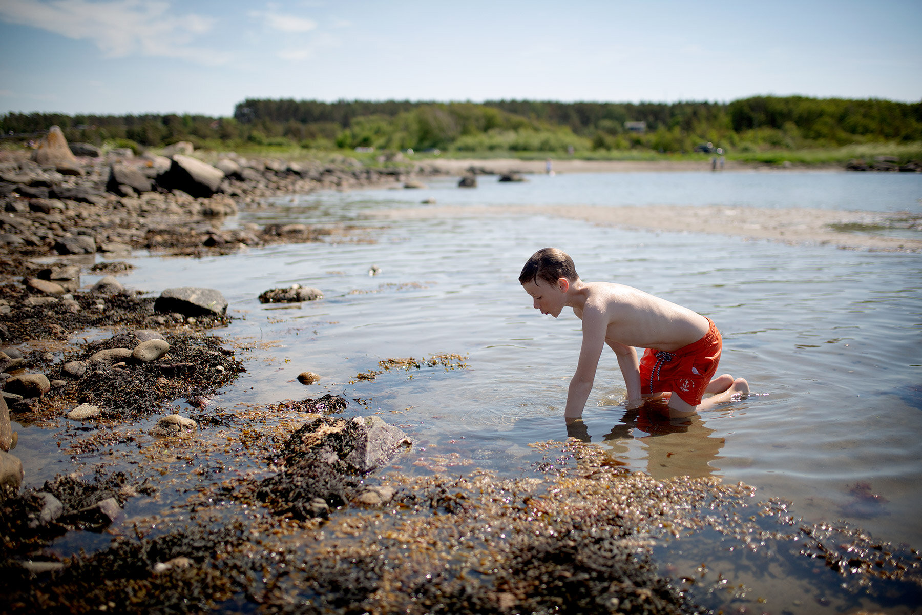 blogg-210605fyrenstranden3.jpg