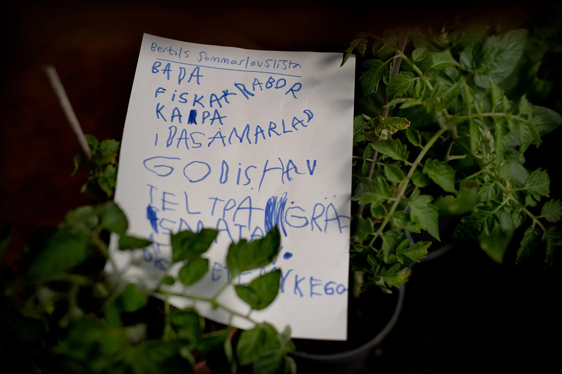 blogg-210612sommarlovslista4.jpg