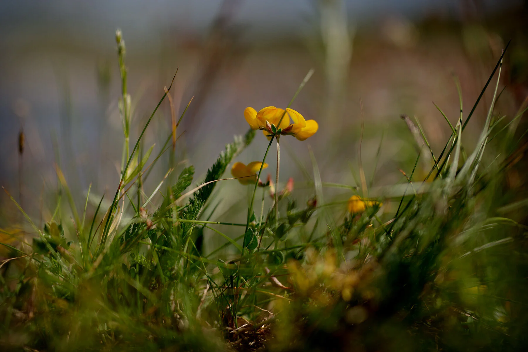 blogg-210615fyrenstranden2.jpg