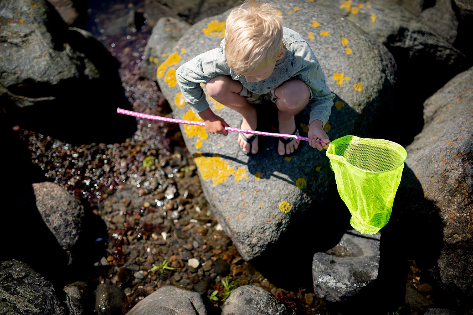 blogg-210615fyrenstranden12.jpg