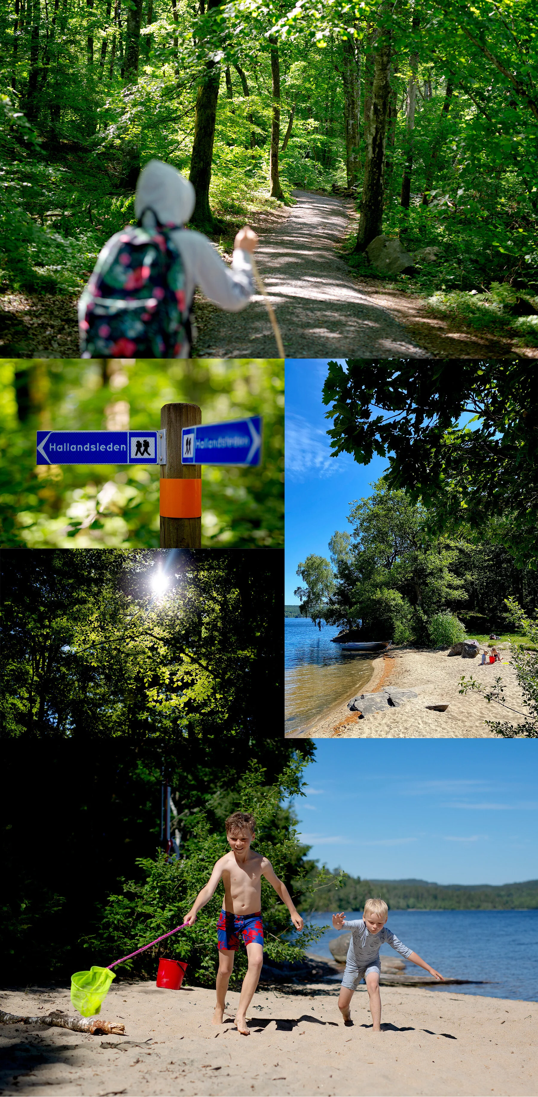 Stora Hornsjön