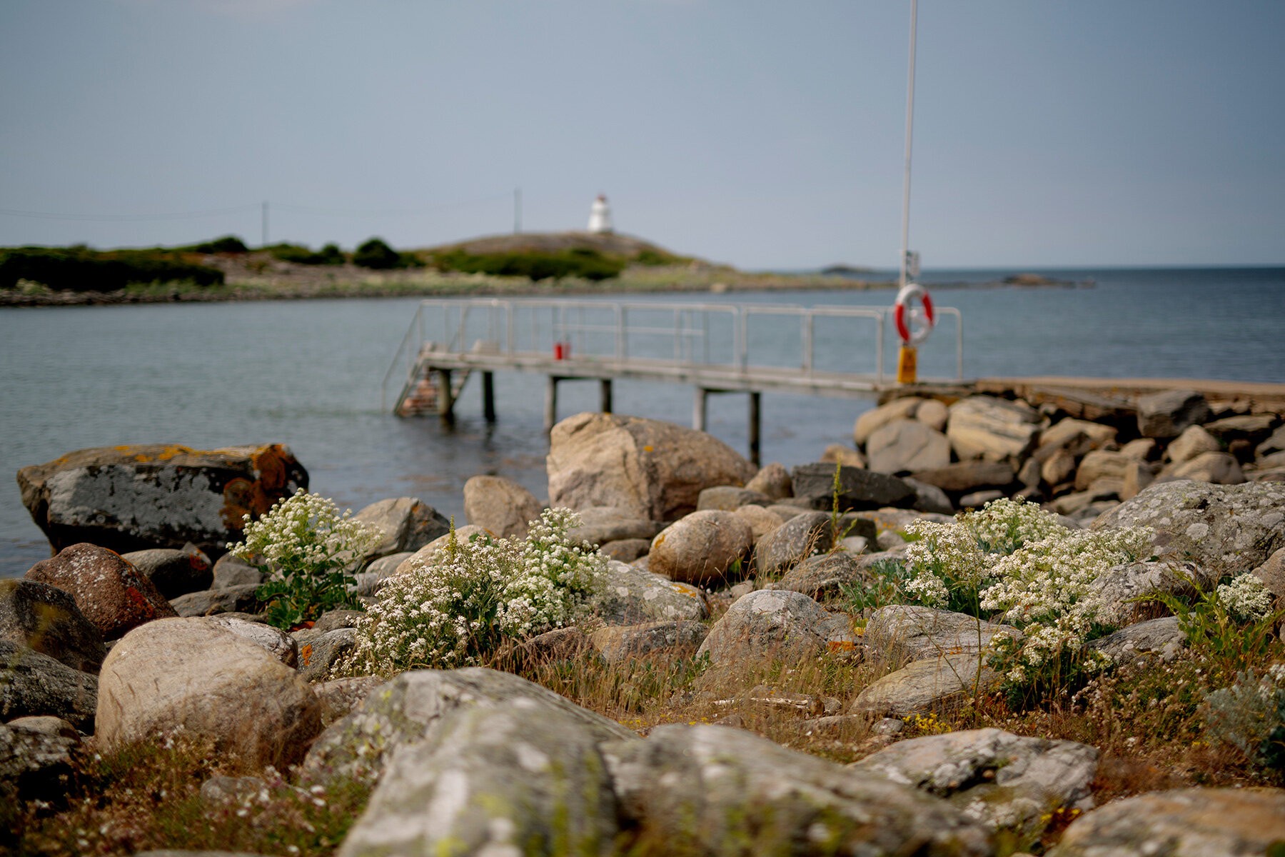 blogg-210617fyrenbryggan1.jpg
