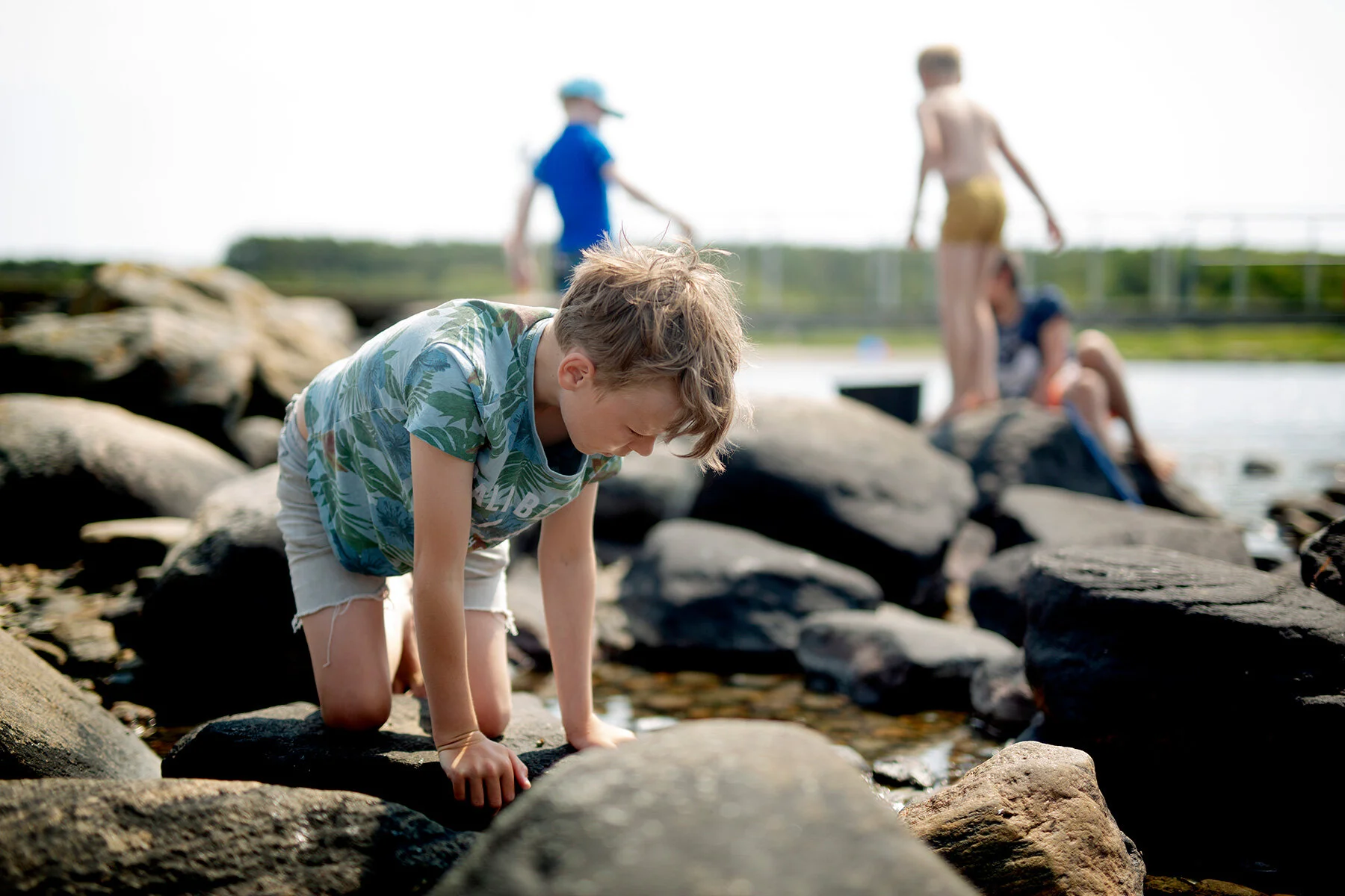 blogg-210617fyrenbryggan18.jpg