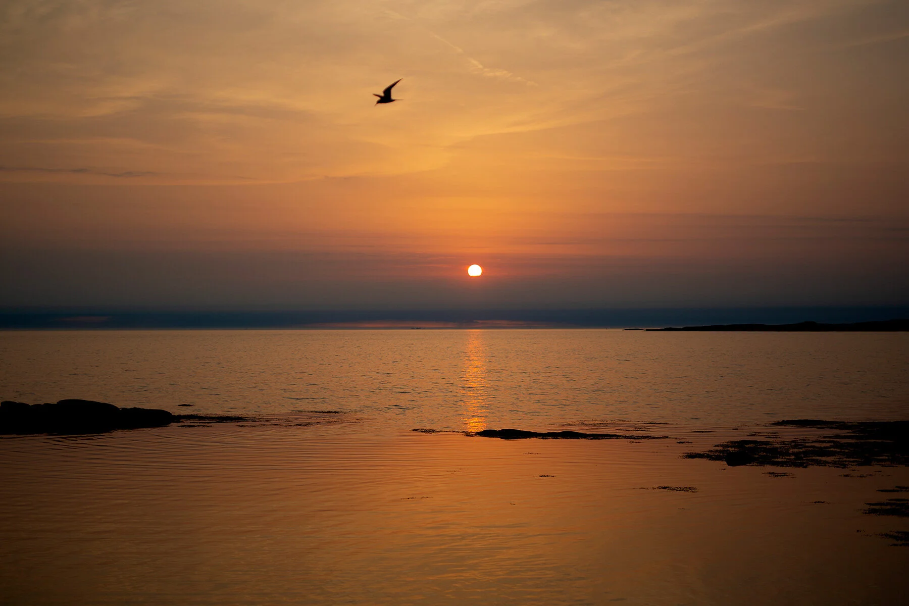 blogg-210618sunnero44.jpg