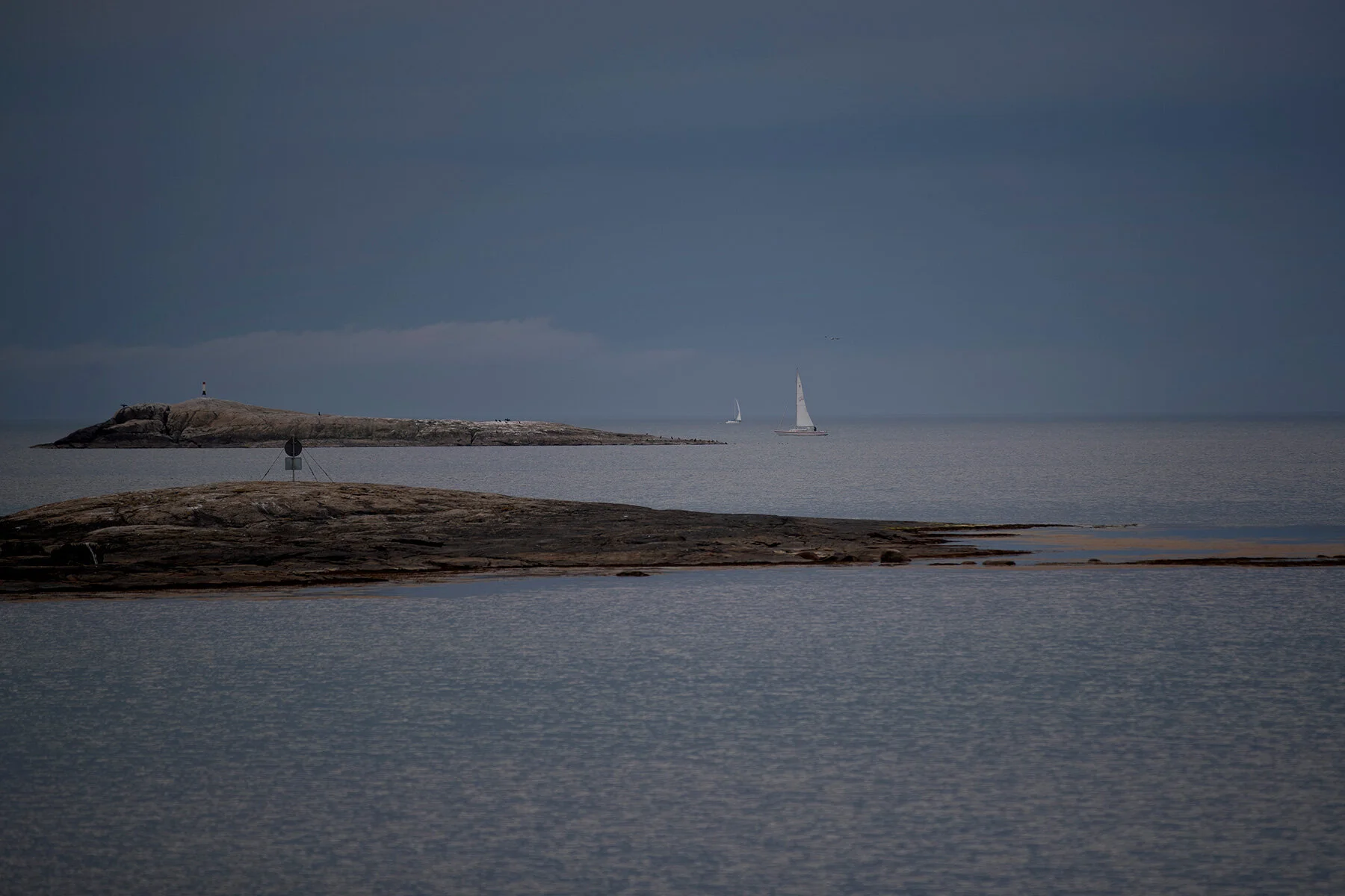 blogg-210620biskopshagen16.jpg